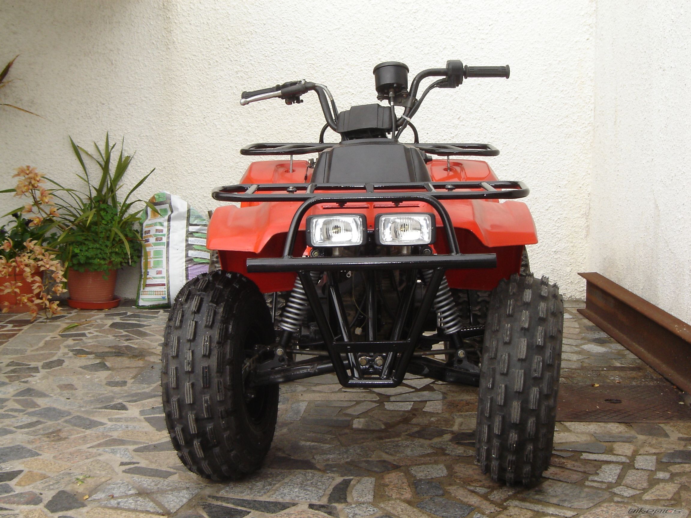 Photo 1234040