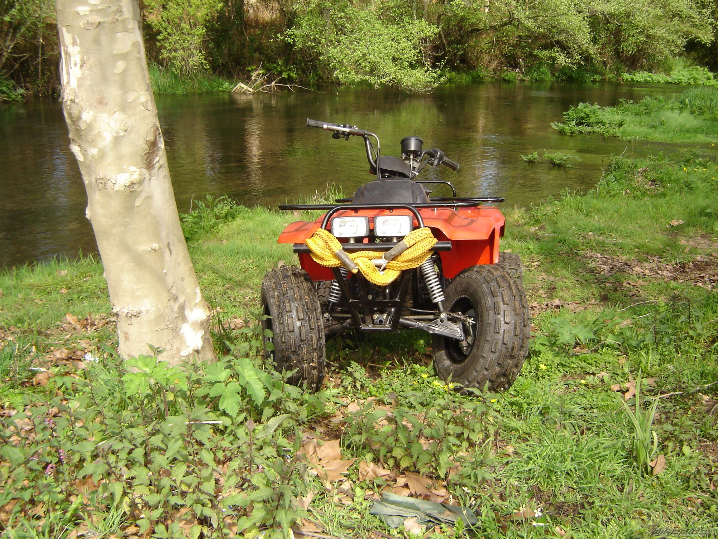Photo 1234041