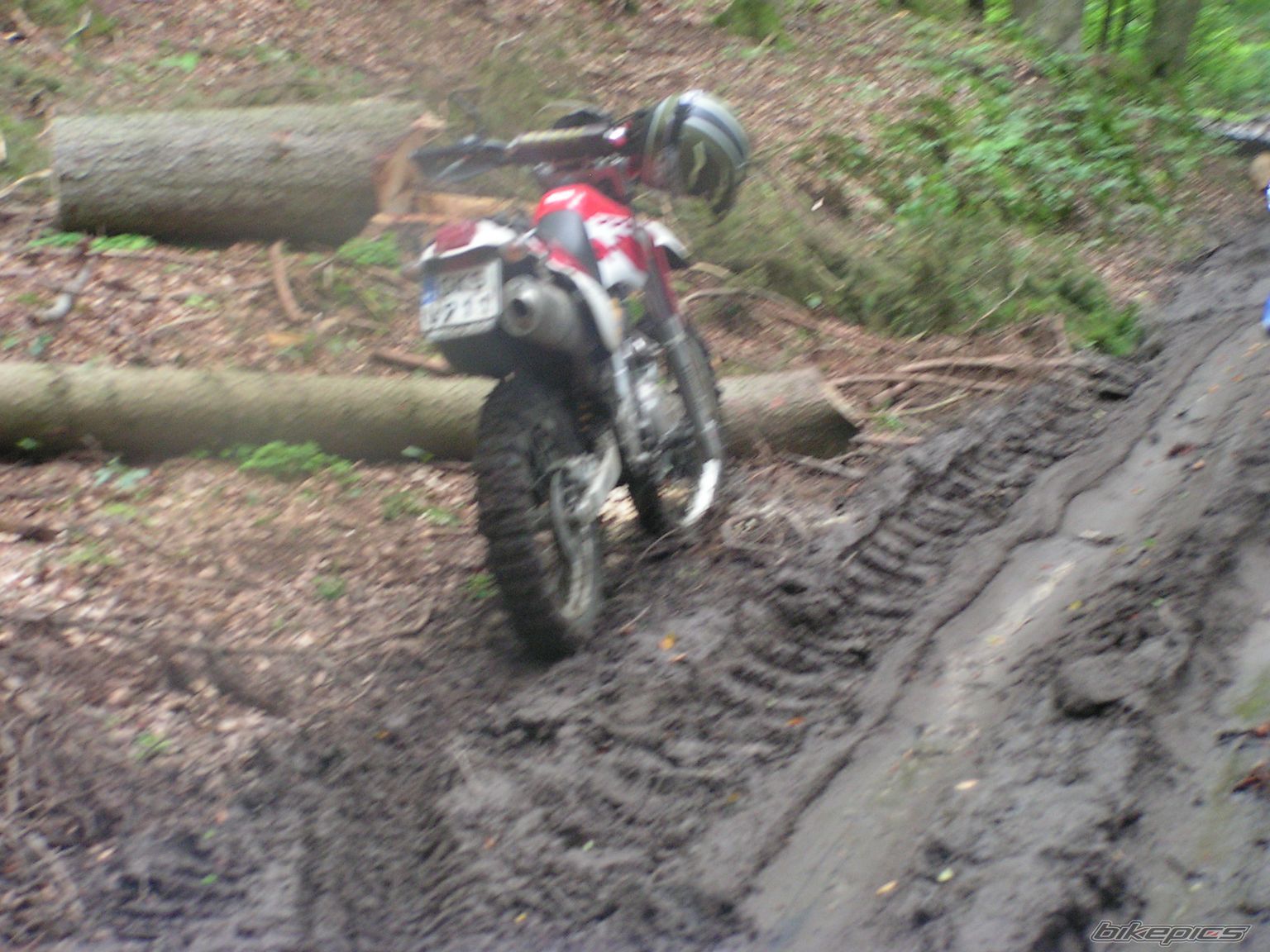 Bike Photo 1234195