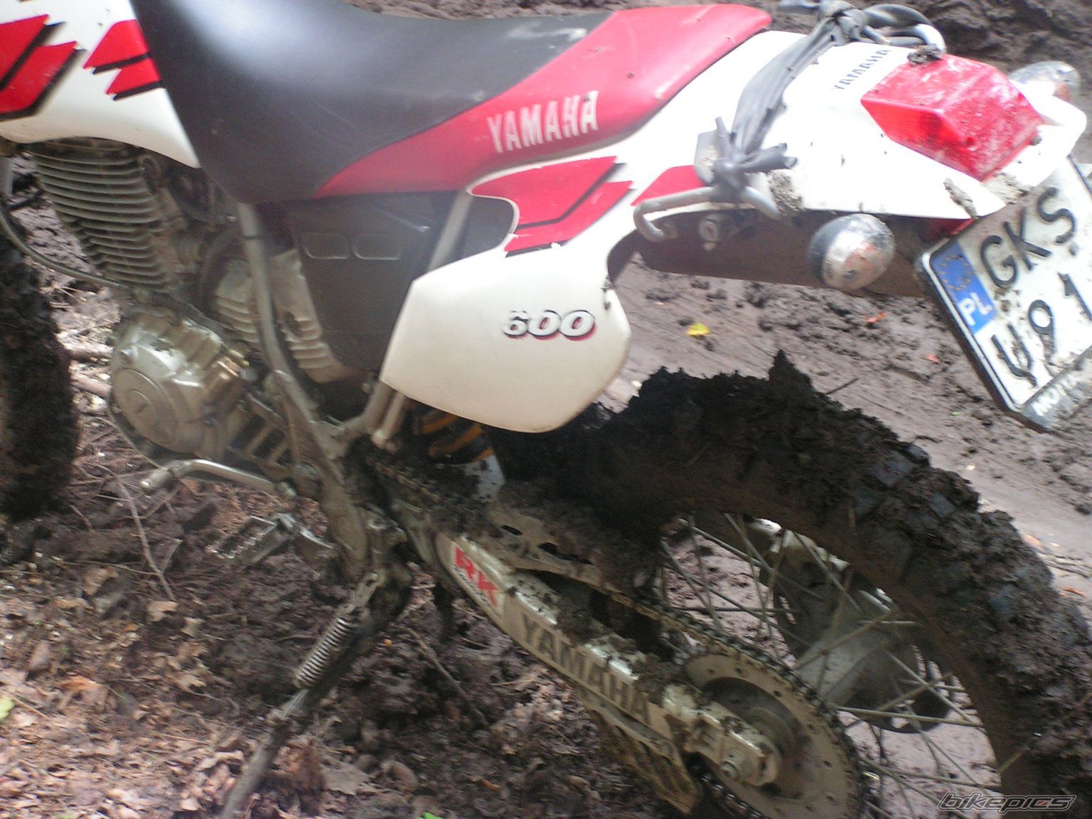 Photo 1234205