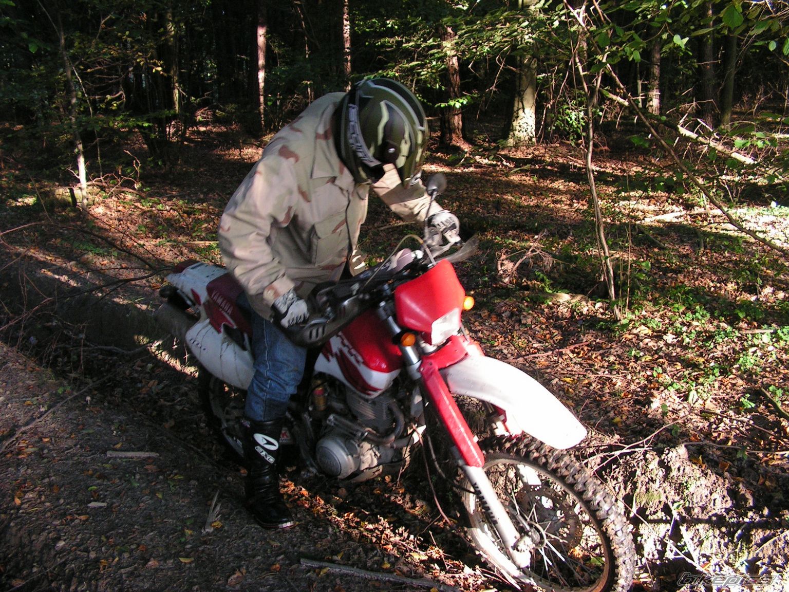 Photo 1234214