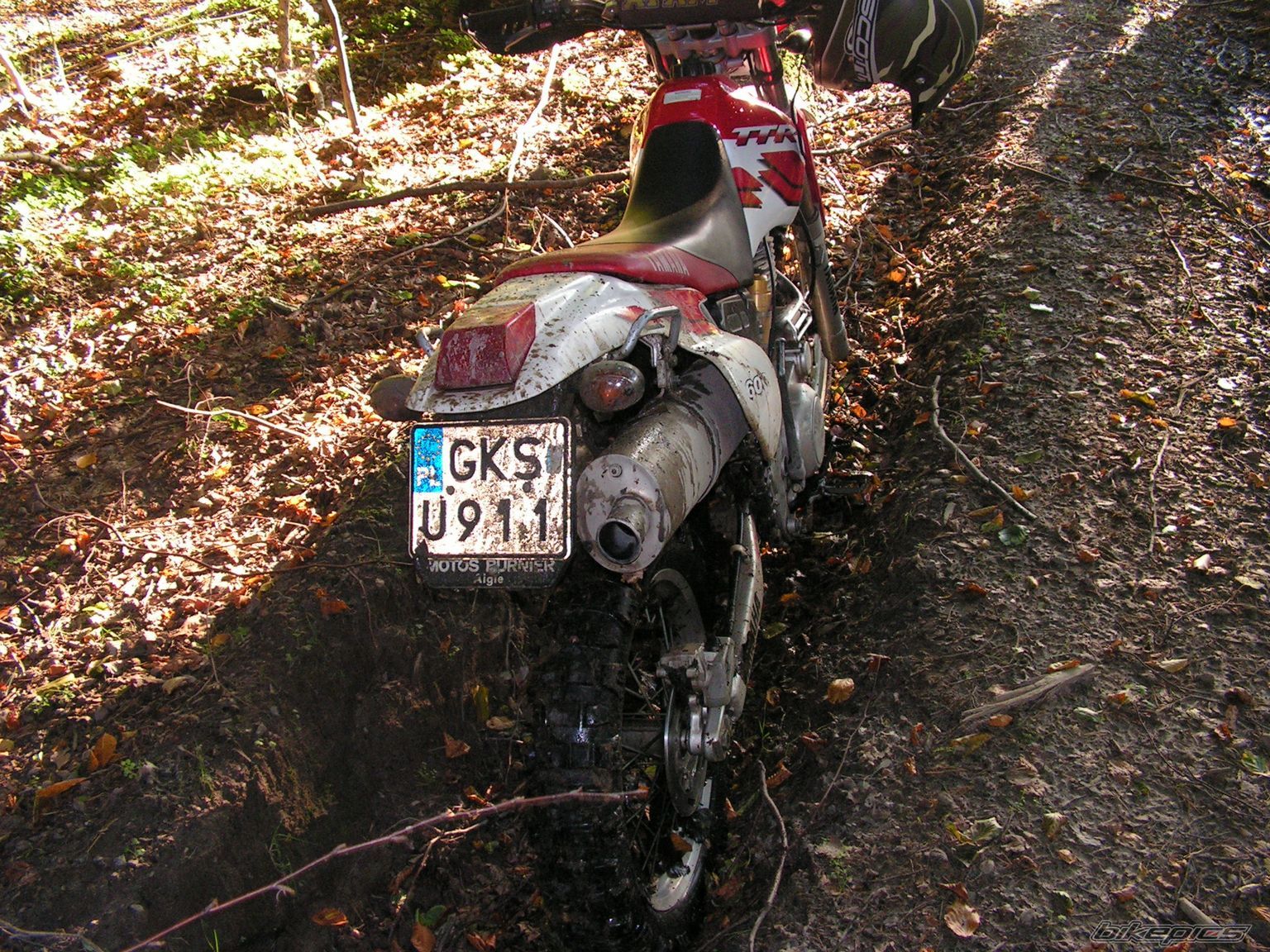 Photo 1234218