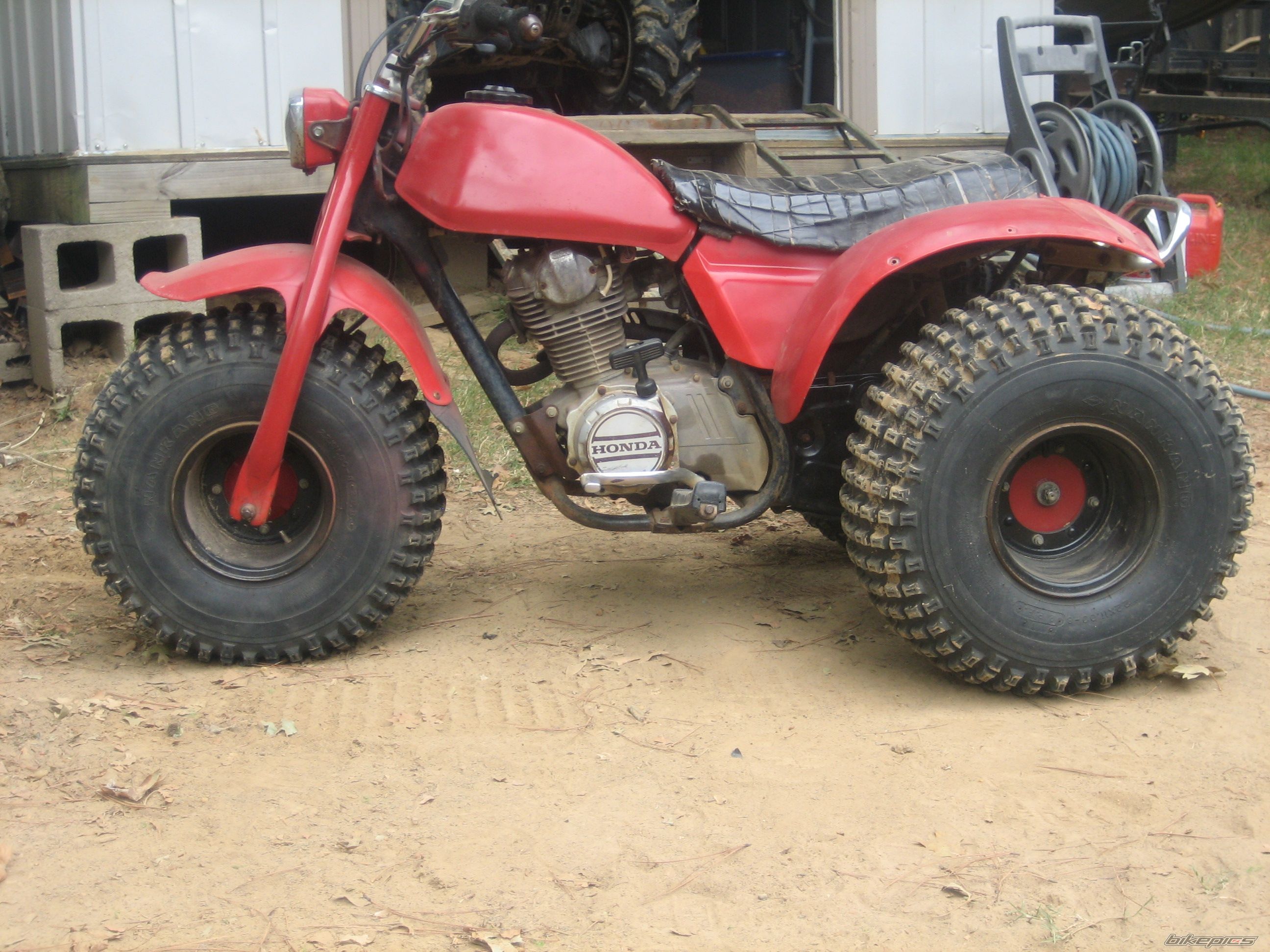 Photo 1234222