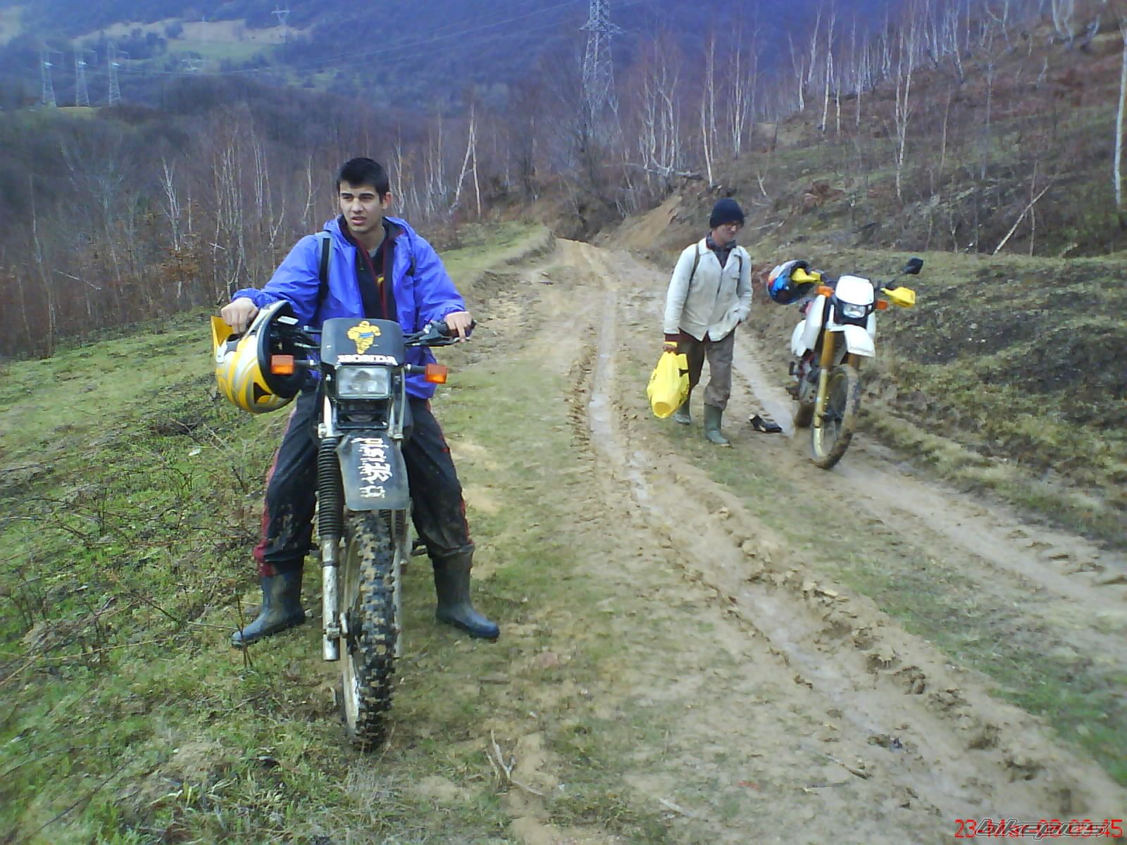 Photo 1234349