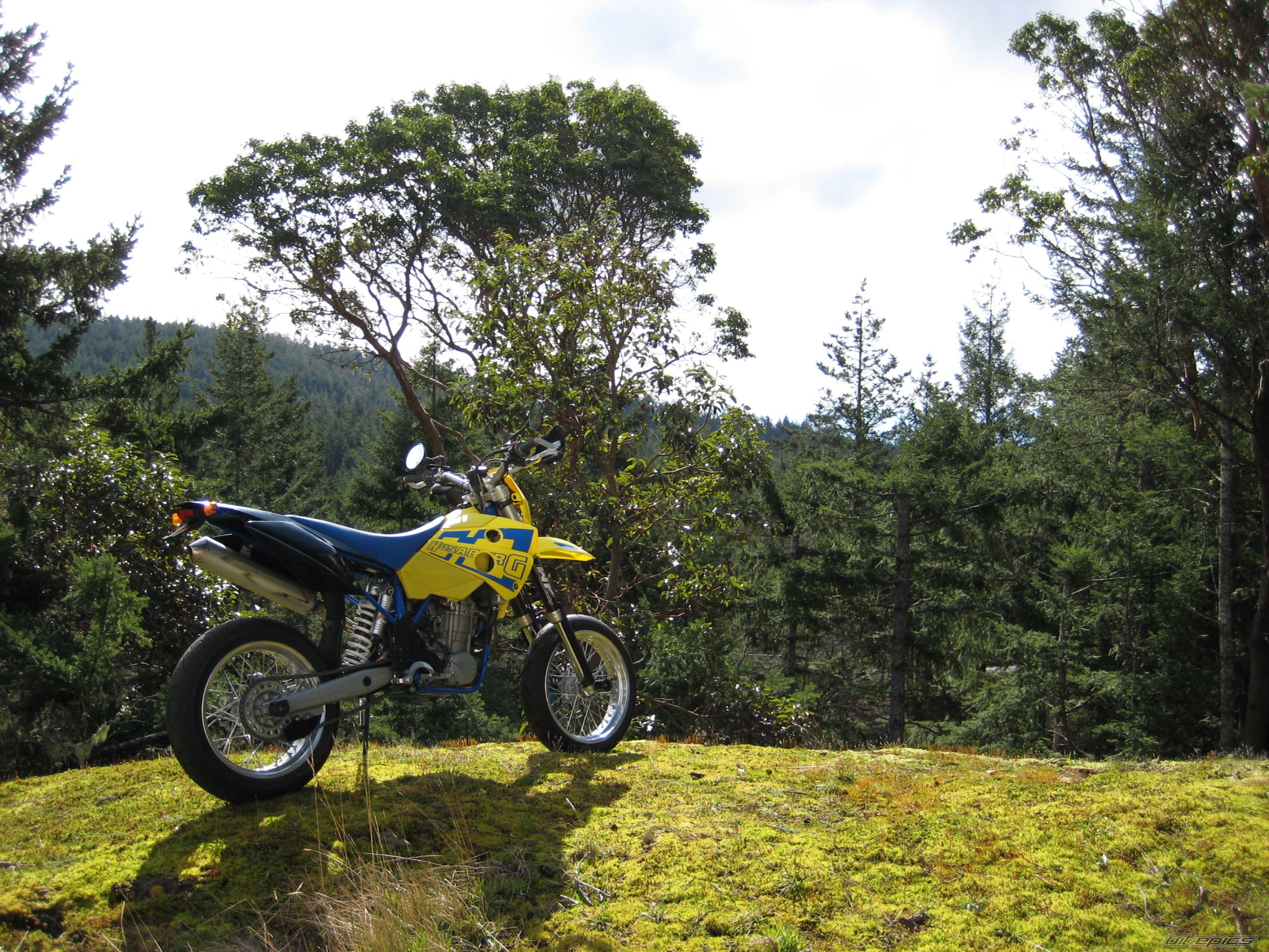 Photo 1234356