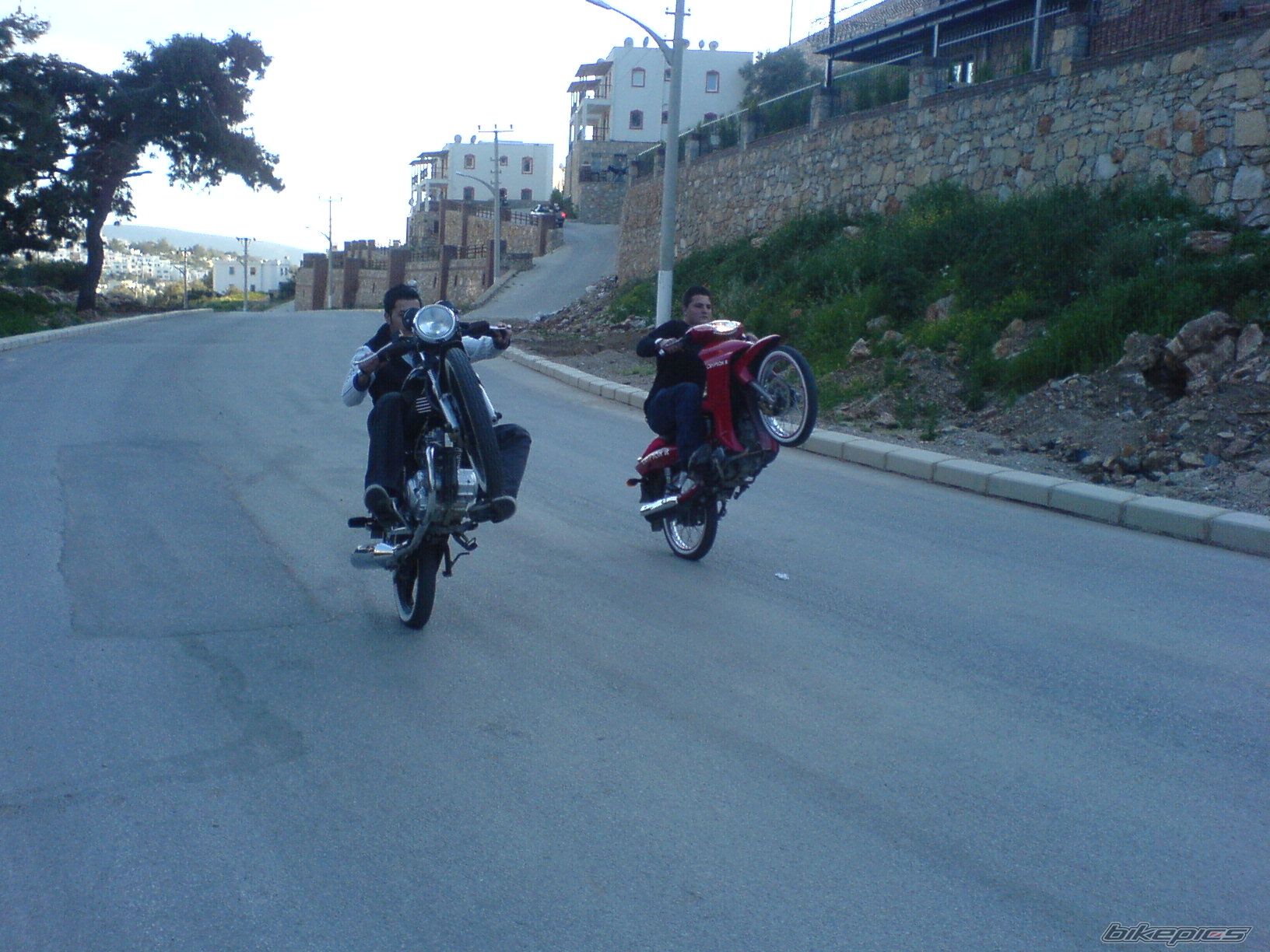Photo 1234416