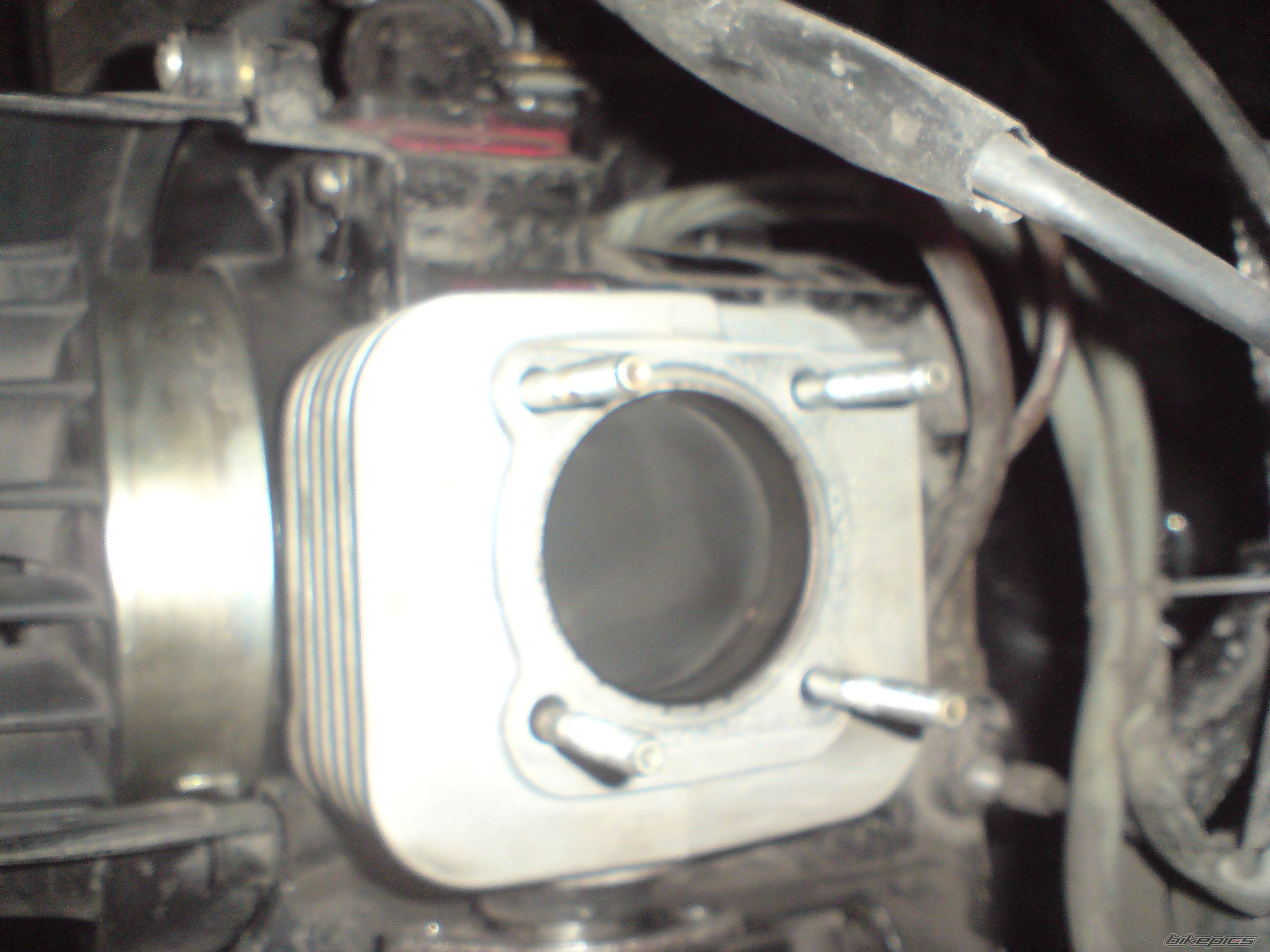 Photo 1234438
