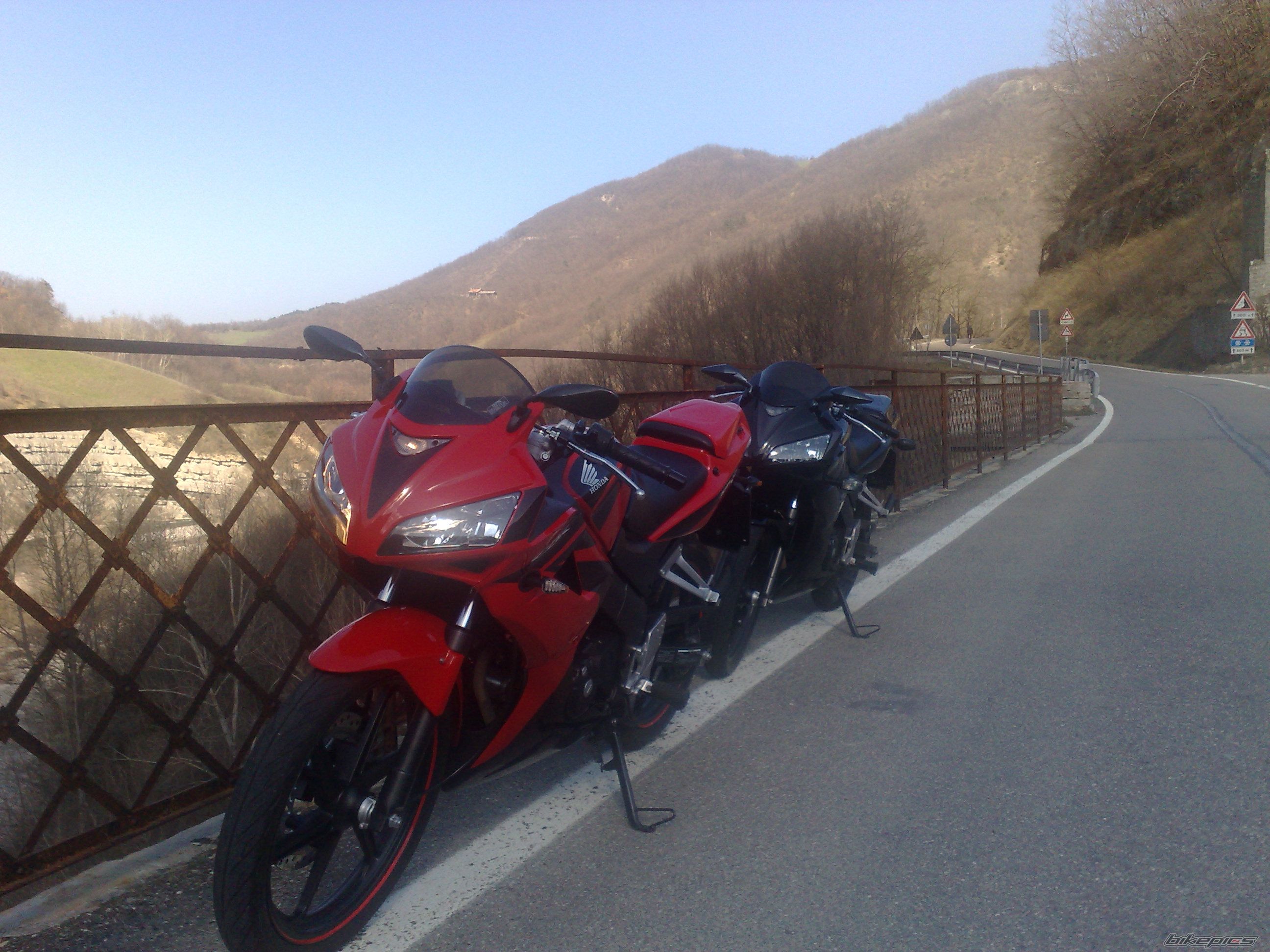 Photo 1234451
