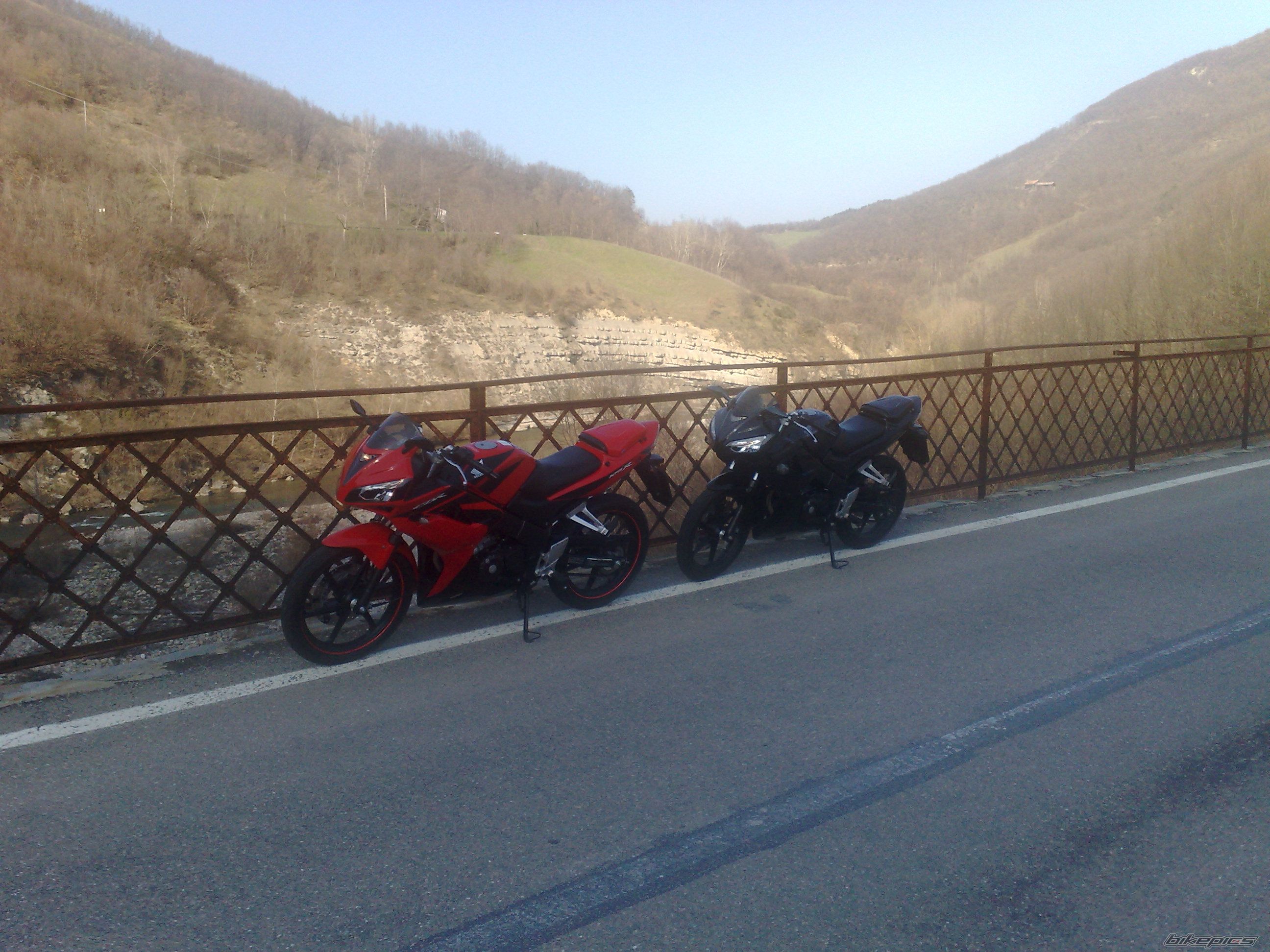 Photo 1234452