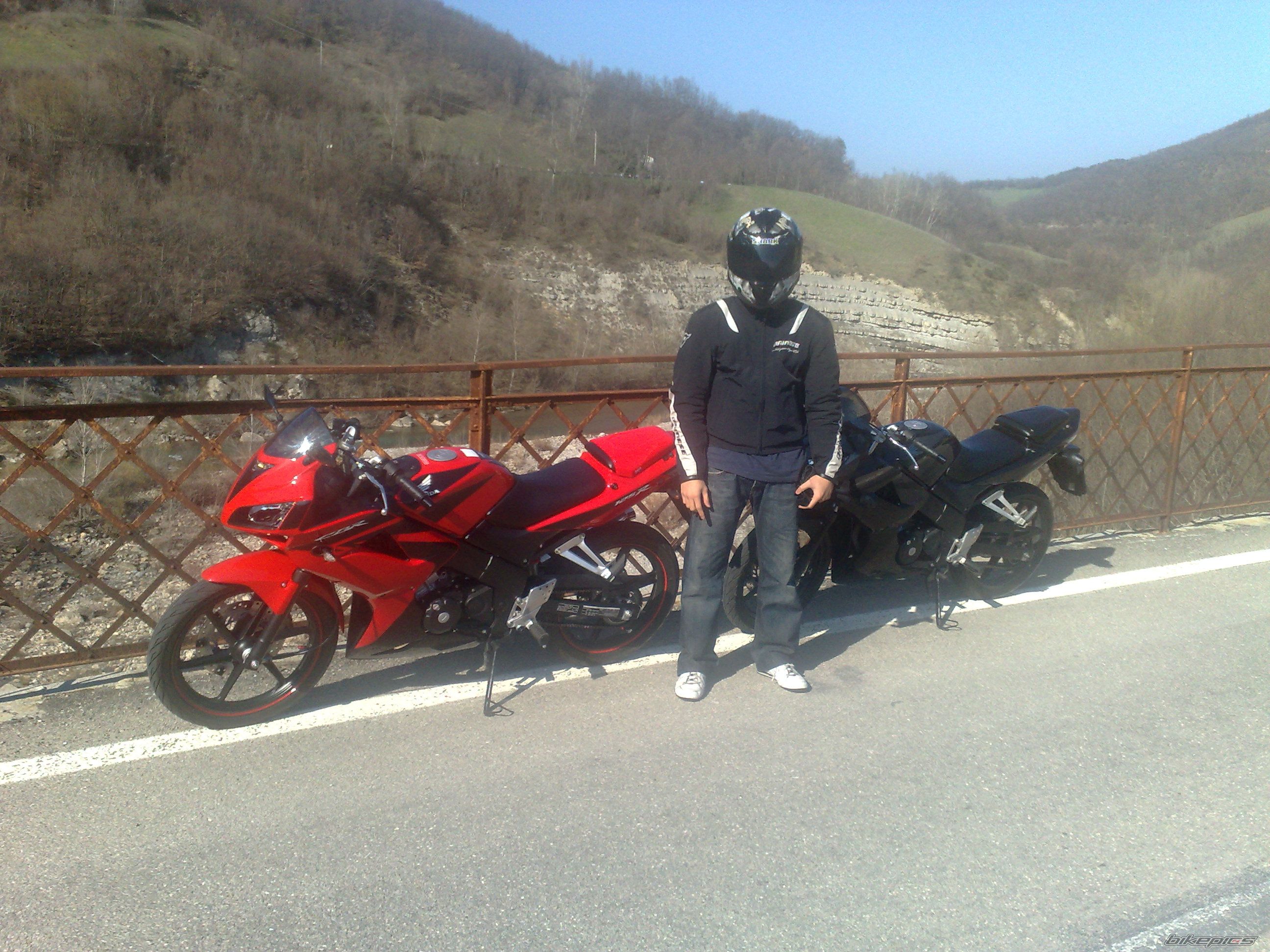 Photo 1234454