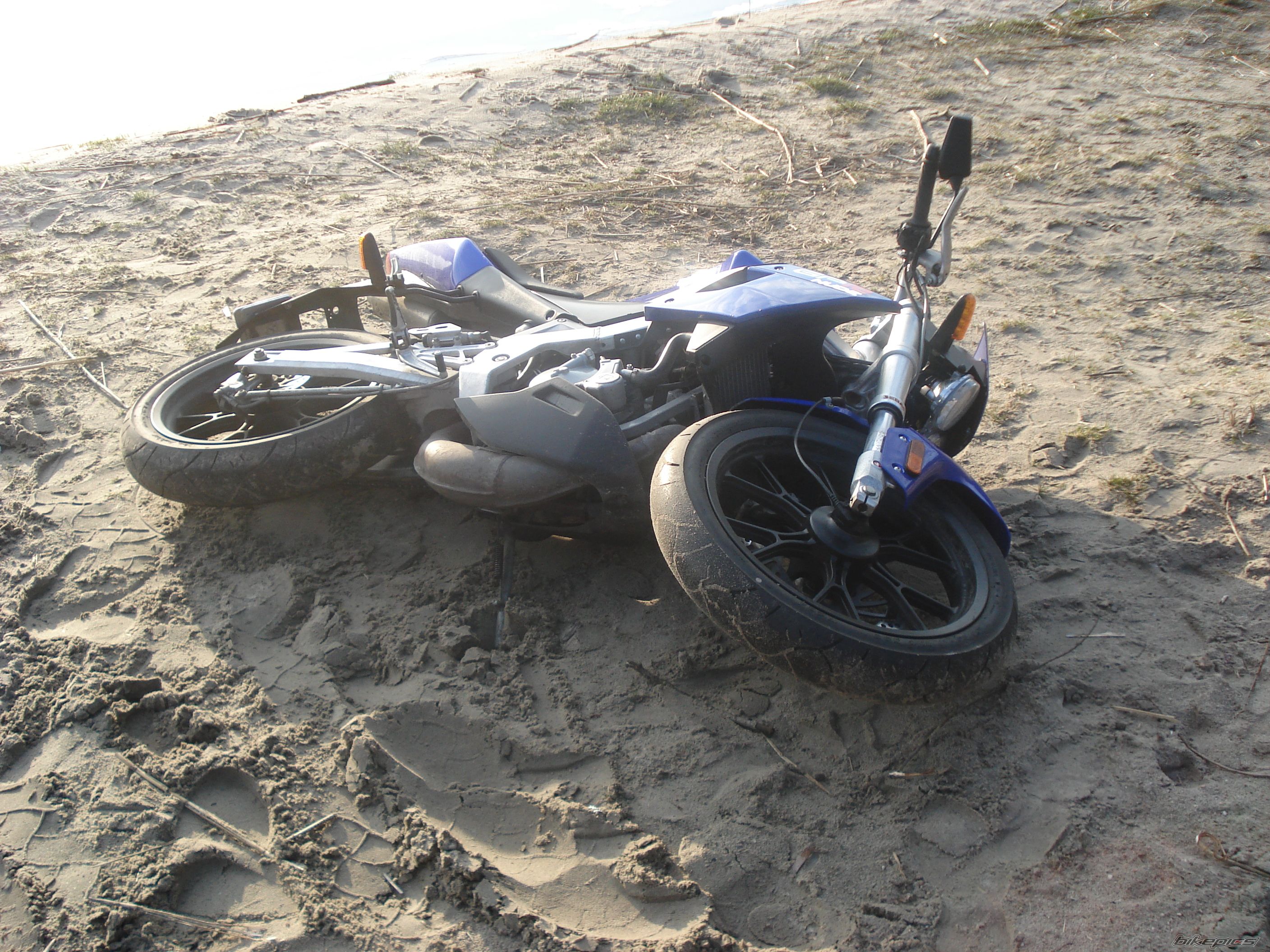 Photo 1234457