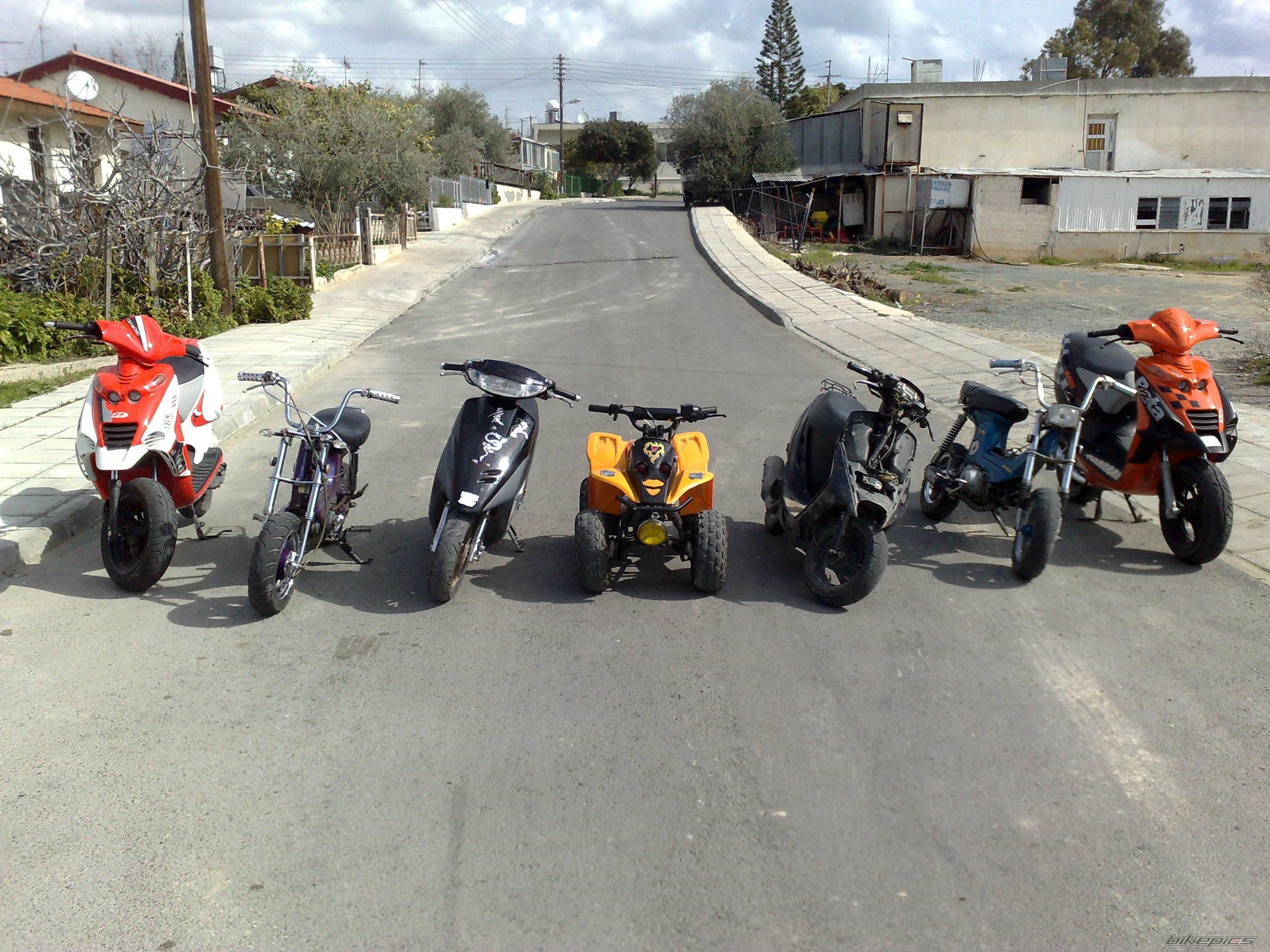 Photo 1234529