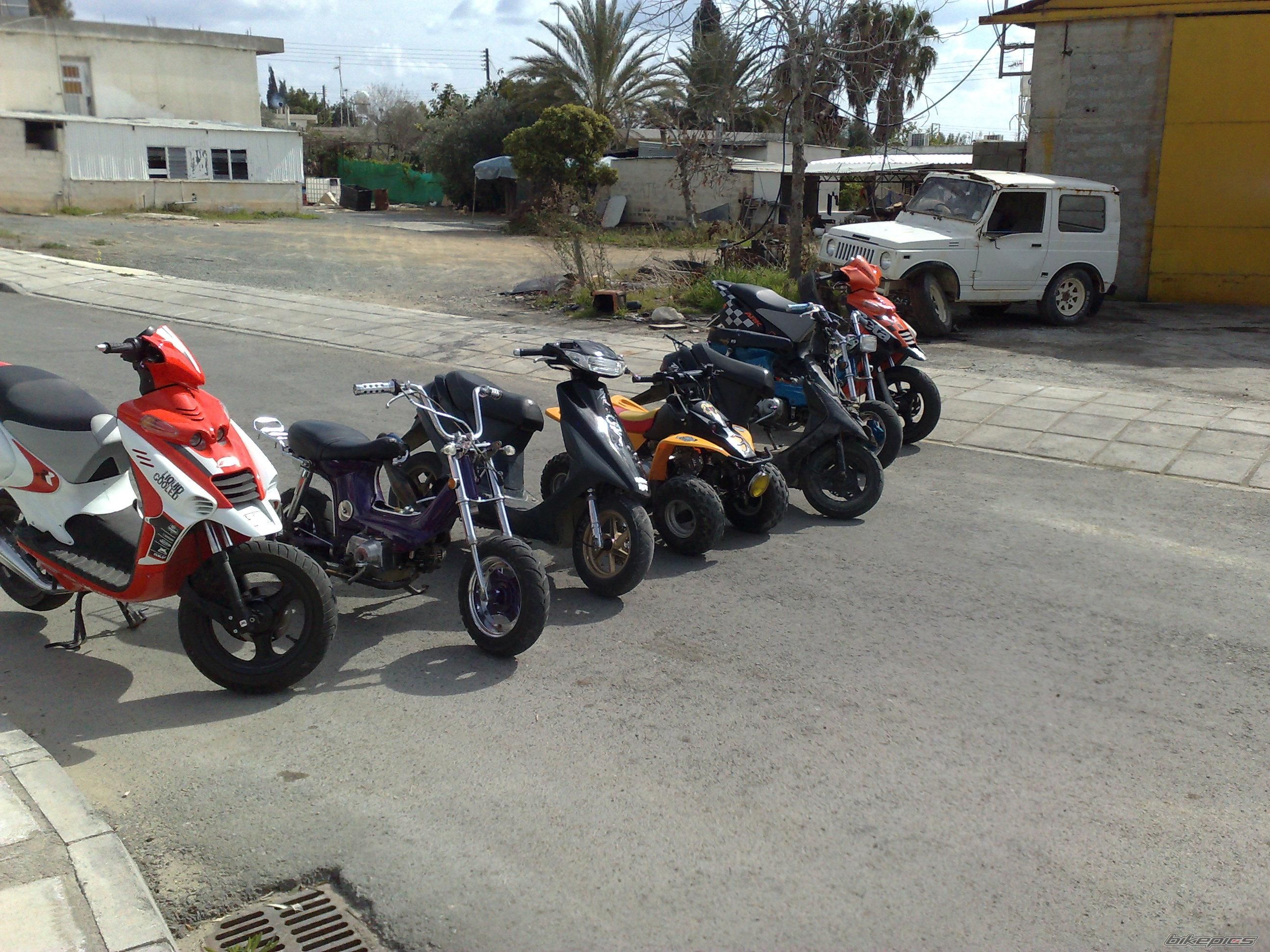 Photo 1234557