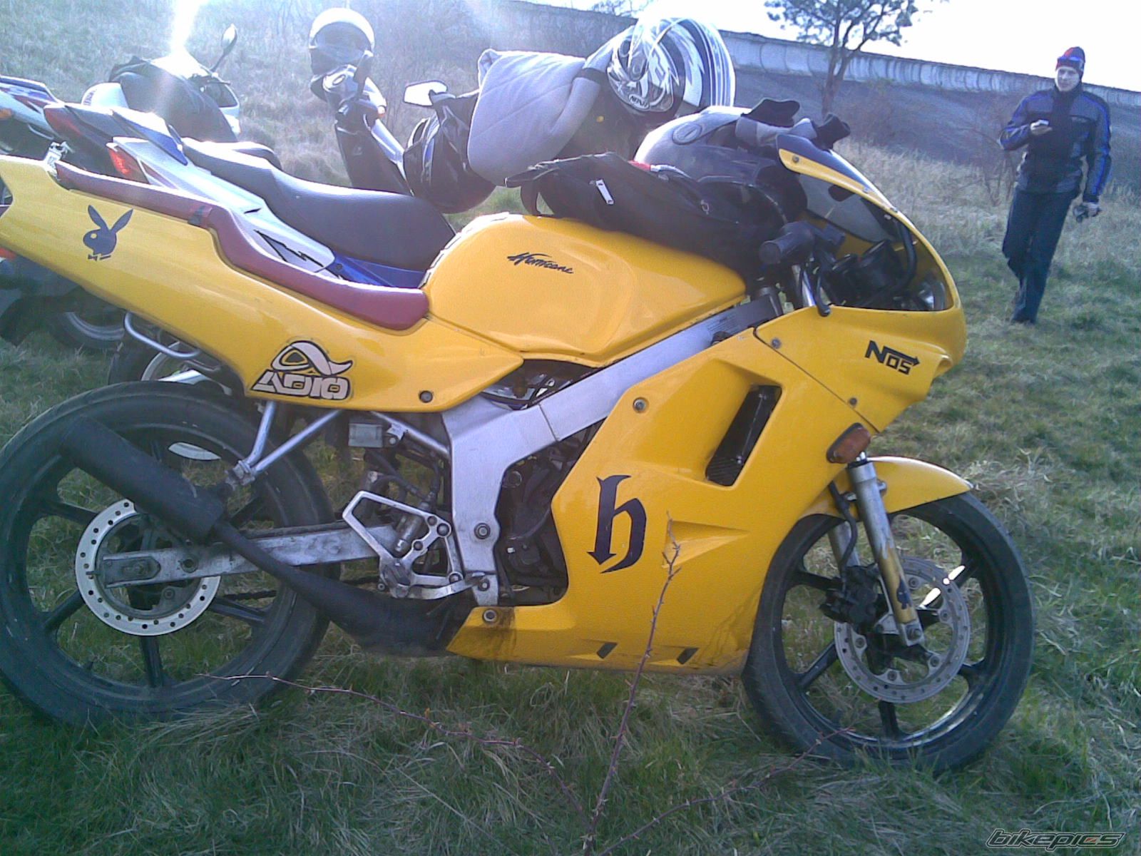Photo 1234583