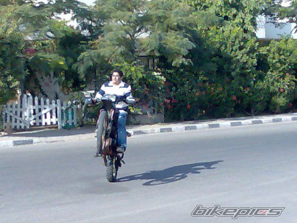 Photo 1234687