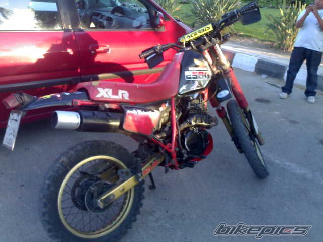Photo 1234688