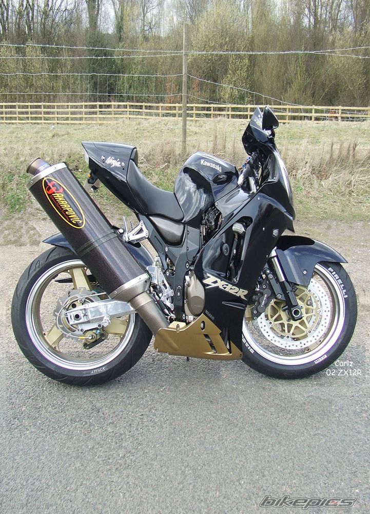 Photo 1234720
