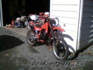 Photo 1234773