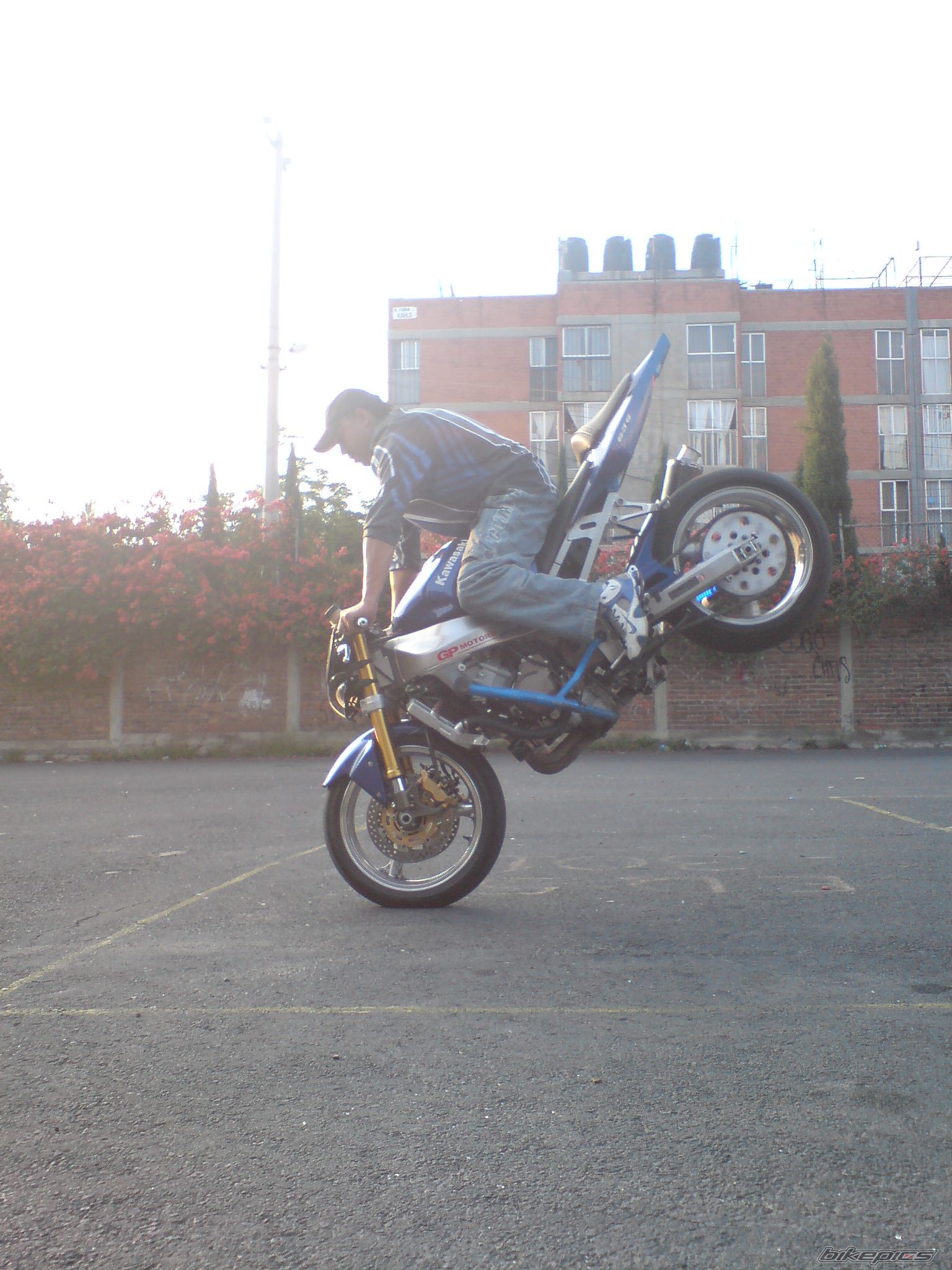Photo 1234820