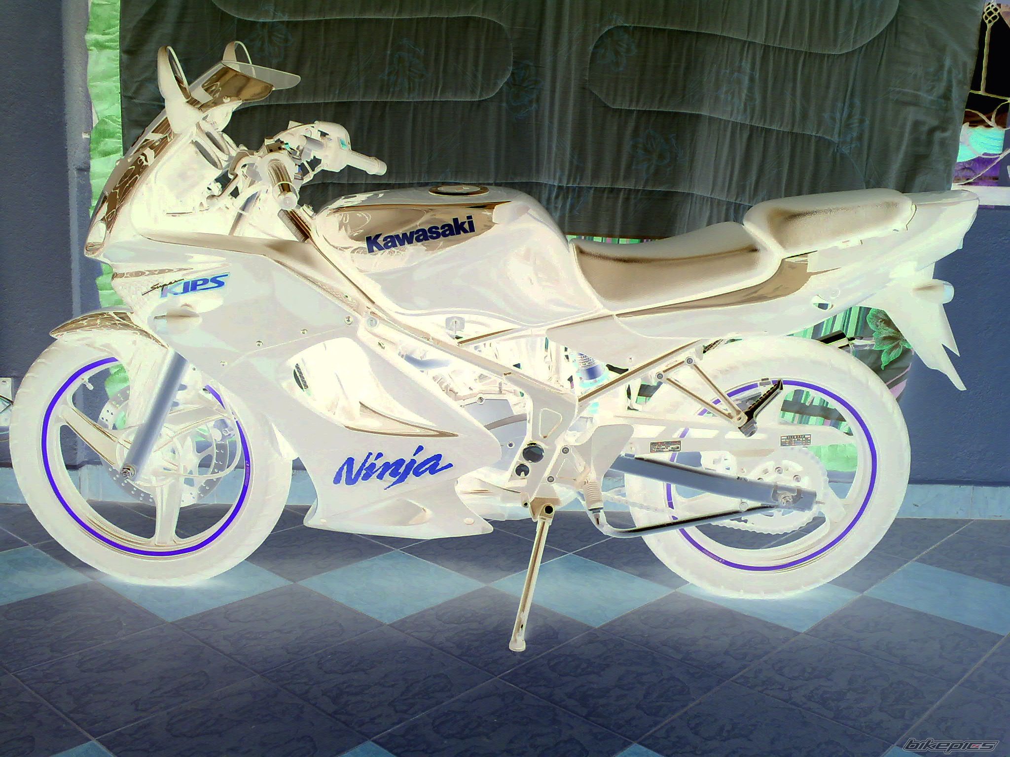 Photo 1234842
