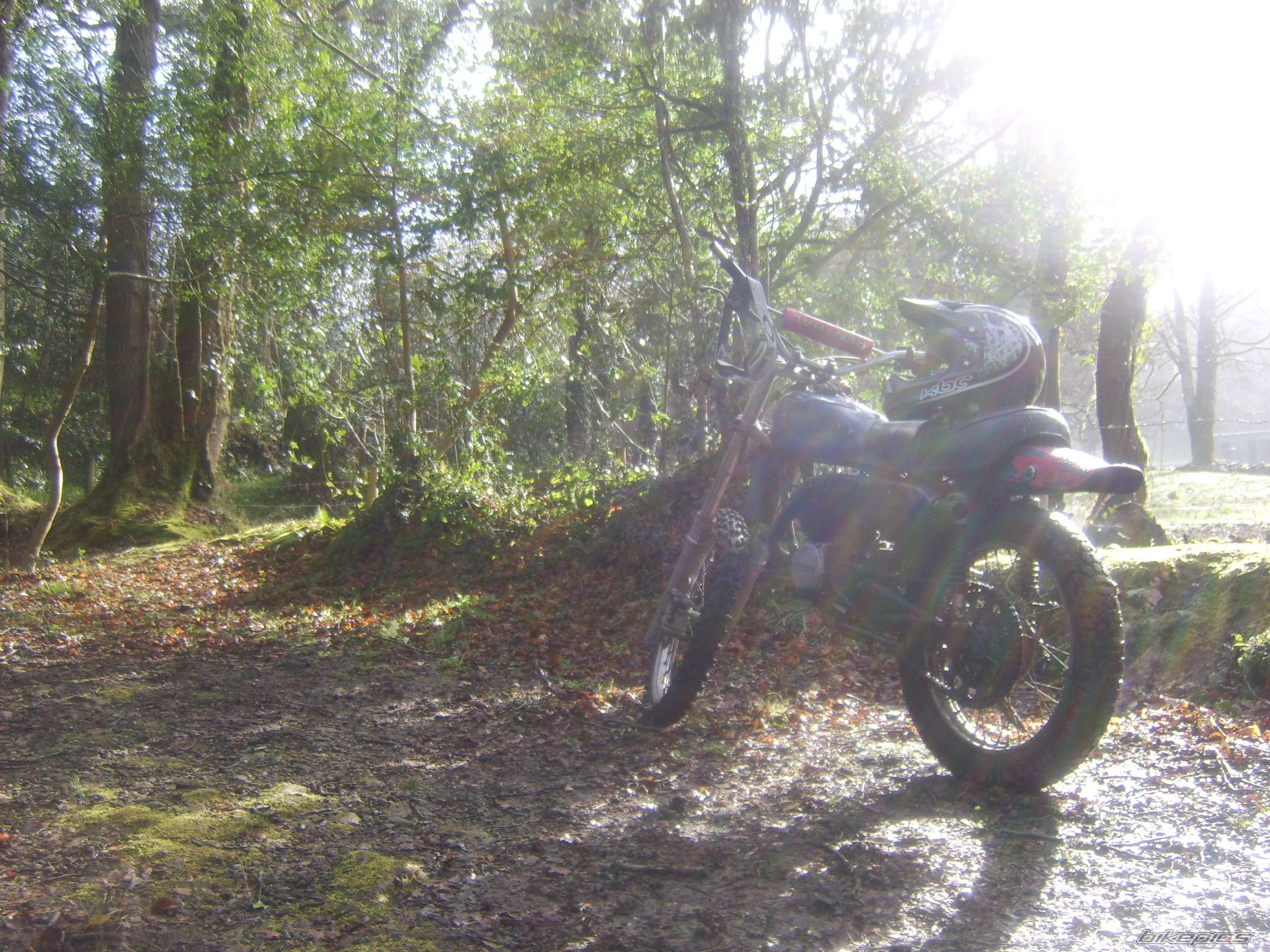 Photo 1234932