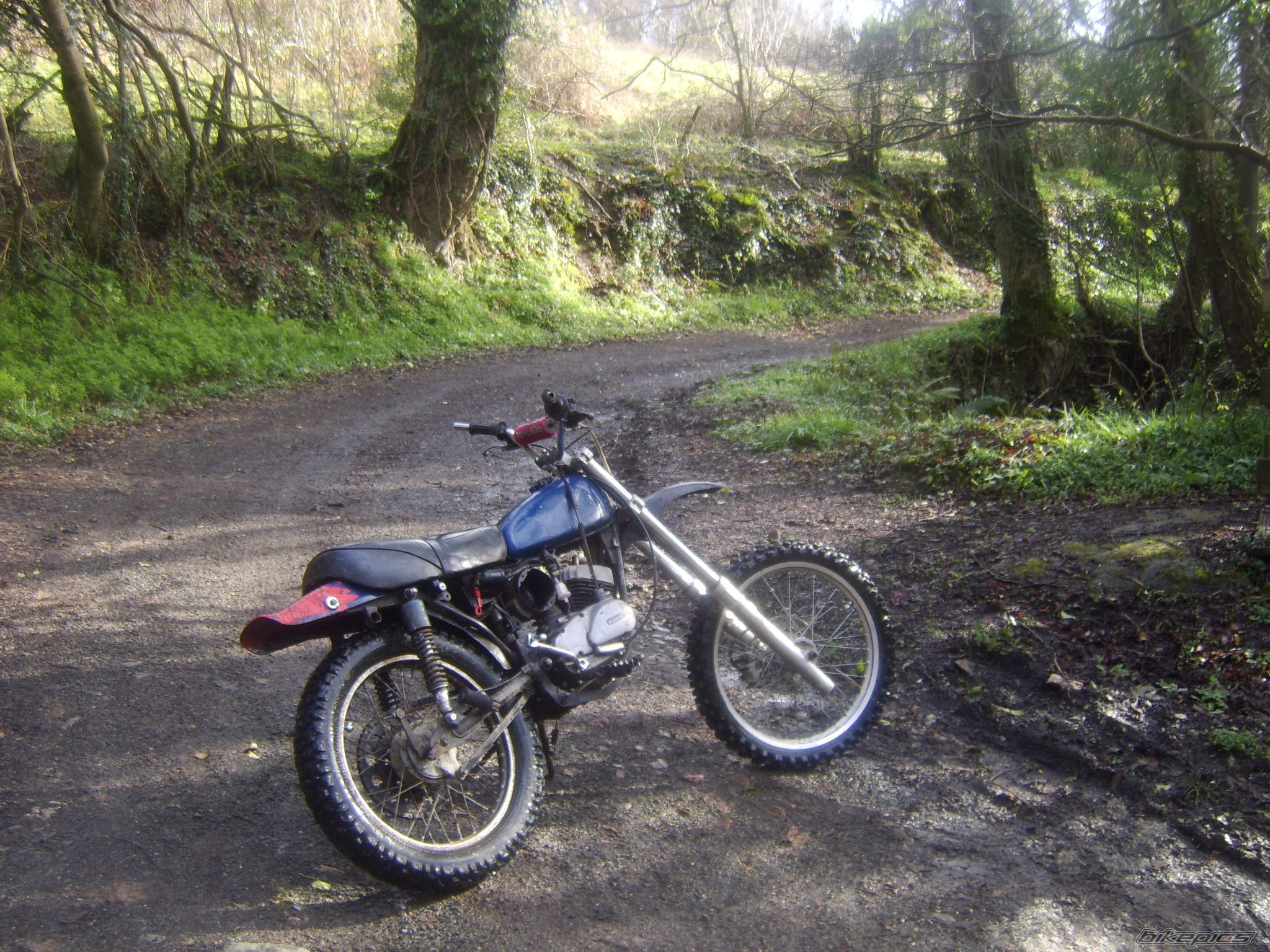 Photo 1234938