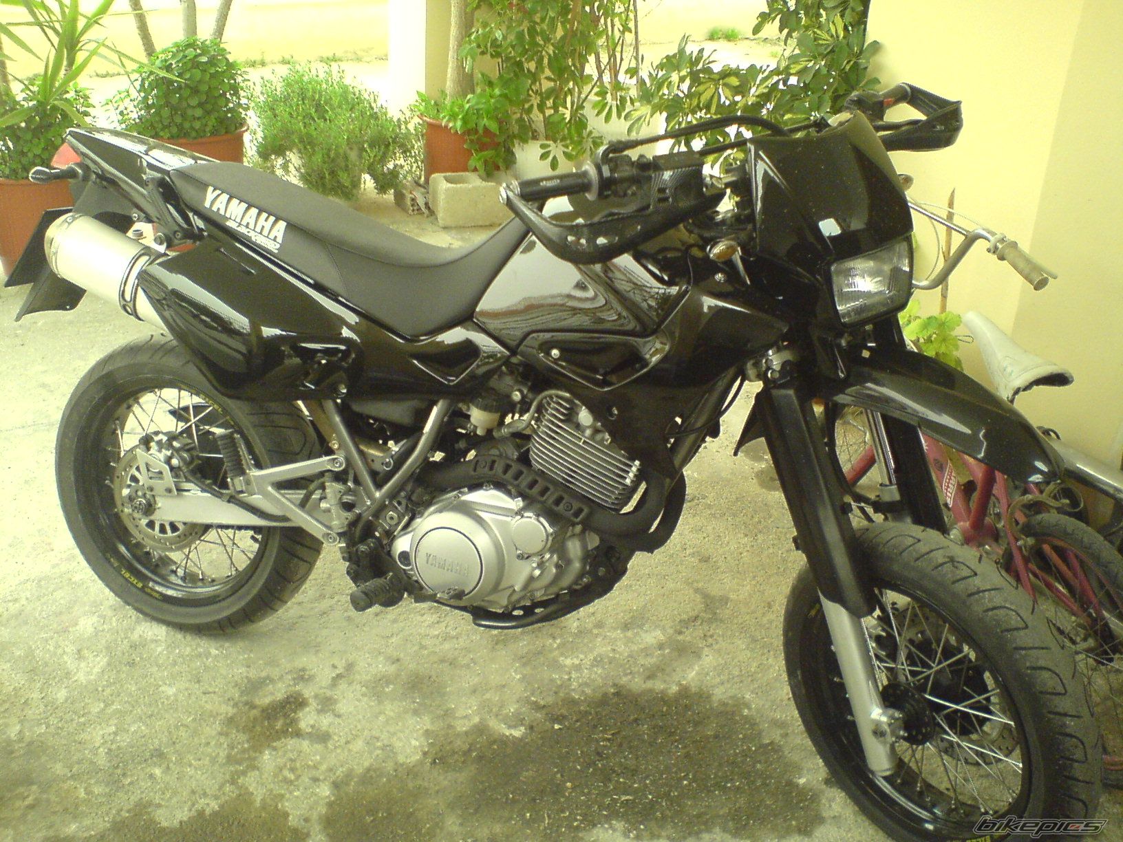 Photo 1234945