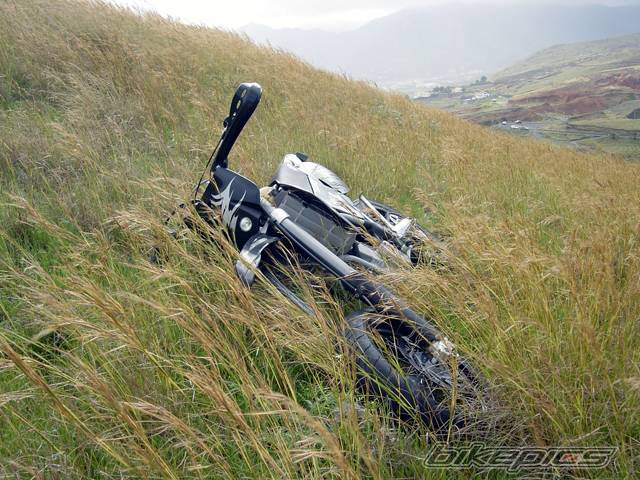 Photo 123504
