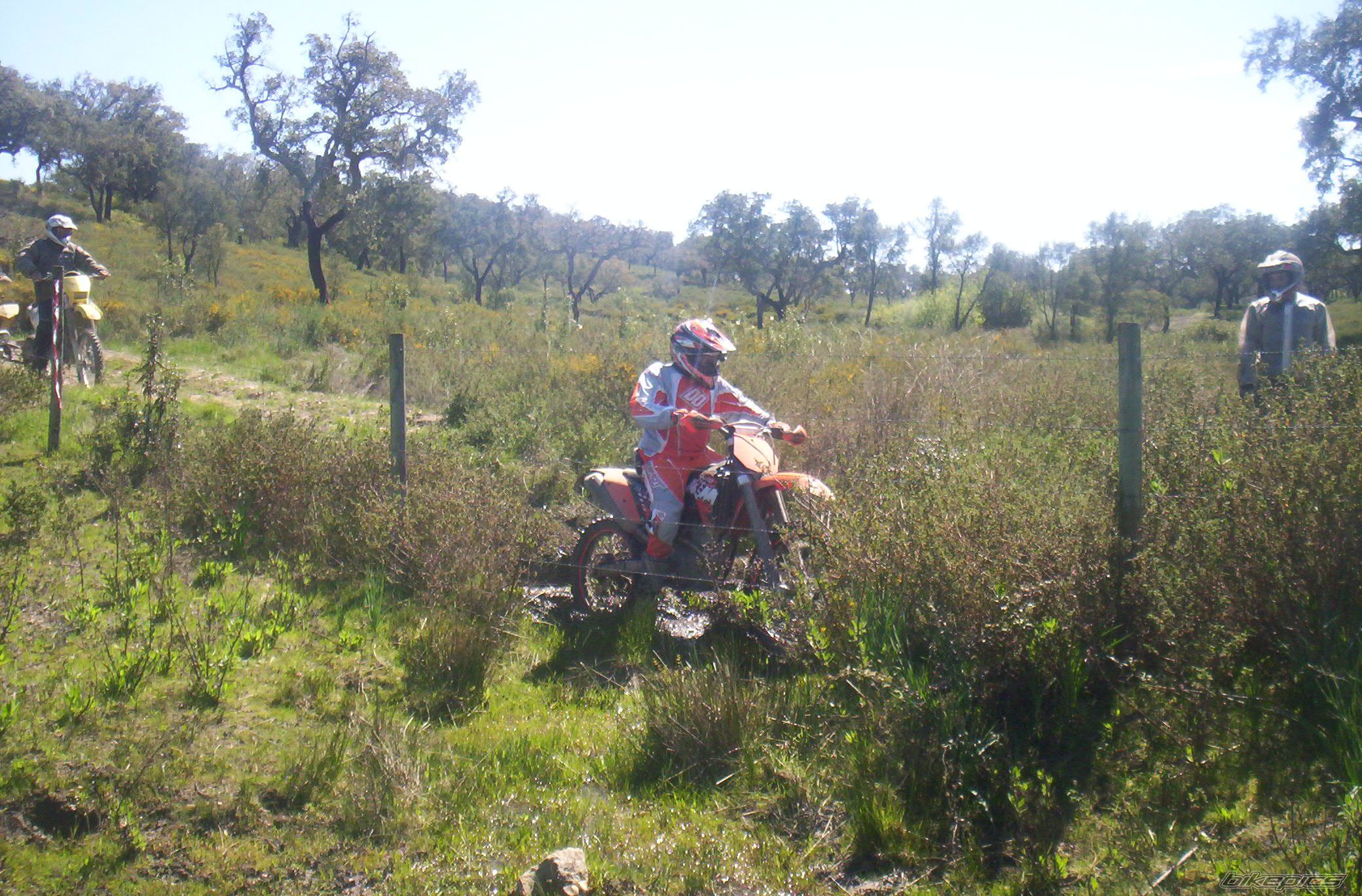 Bike Photo 1235254