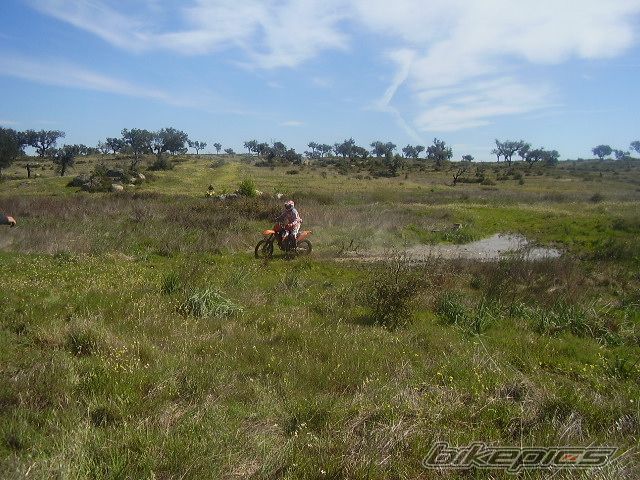 Photo 1235257
