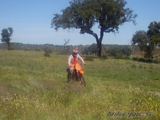 Photo 1235261