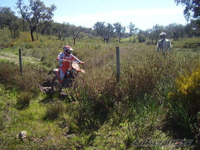 Photo 1235263