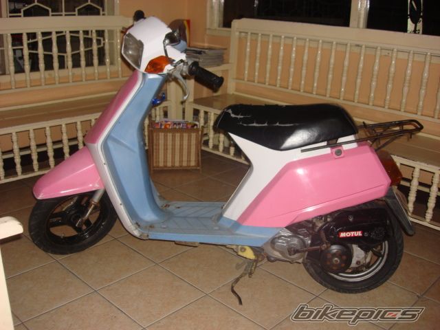 Photo 1235288