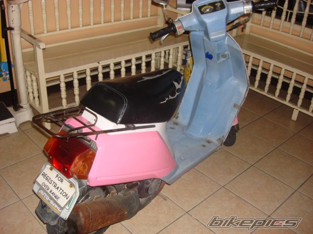 Photo 1235317