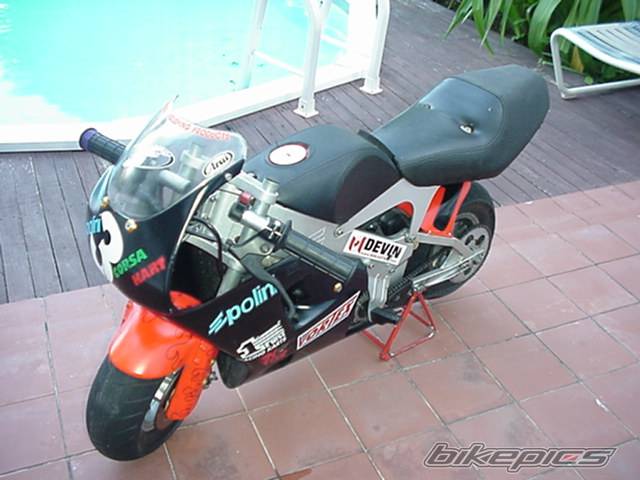 Photo 123533