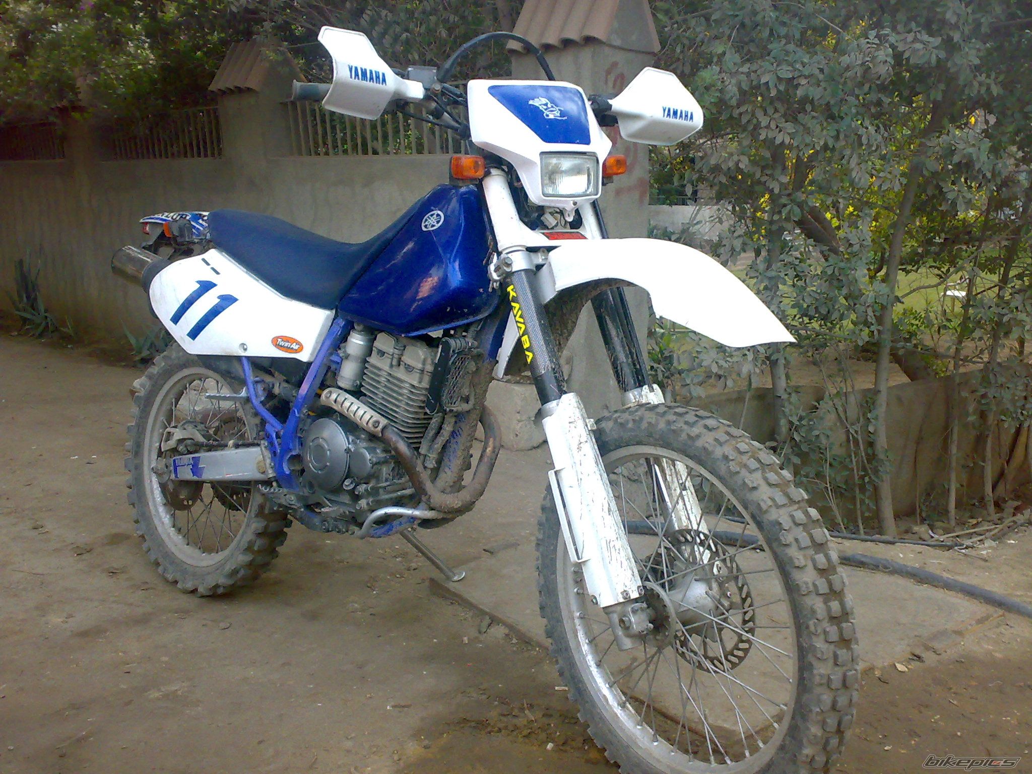 Photo 1235340