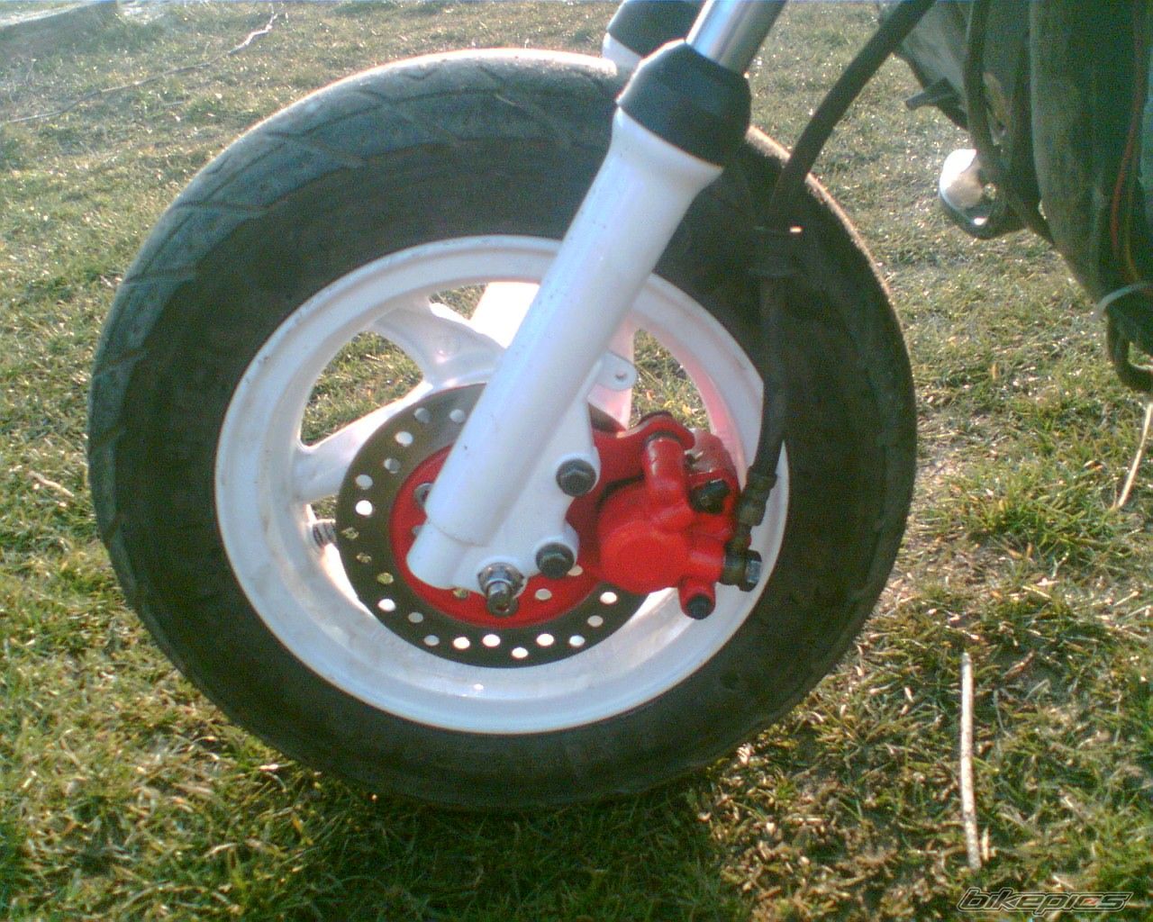 Photo 1235373