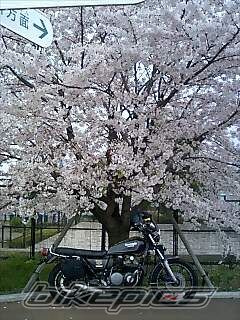 Photo 1235396