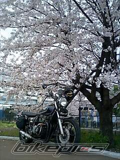 Photo 1235398