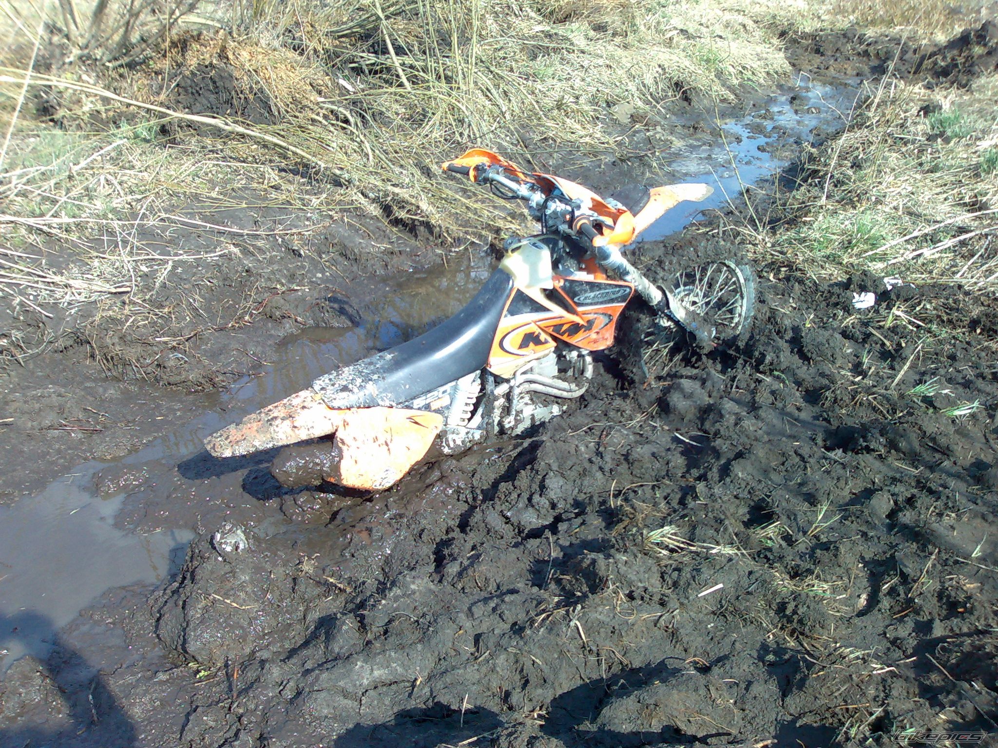 Photo 1235407