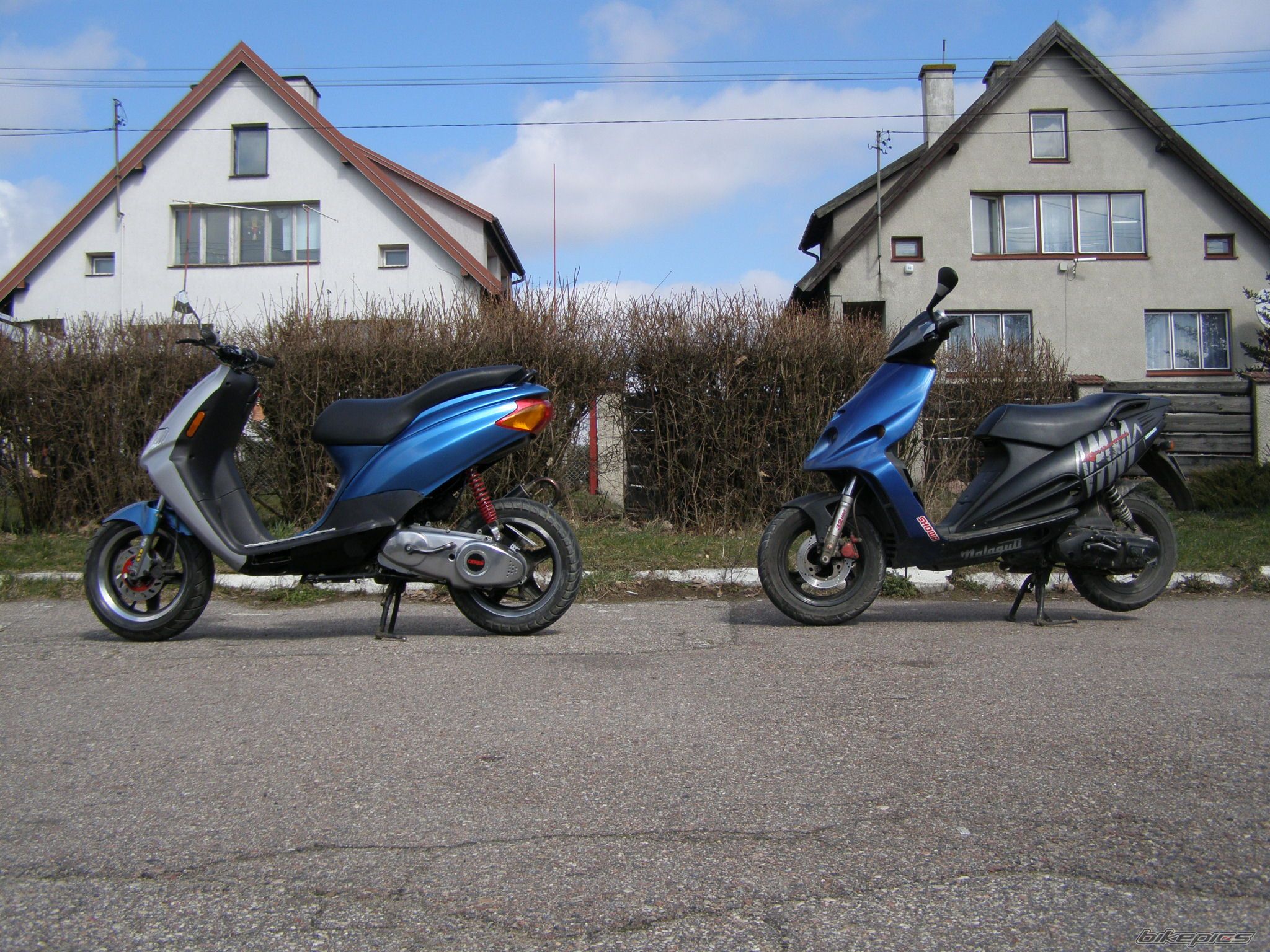 Photo 1235614
