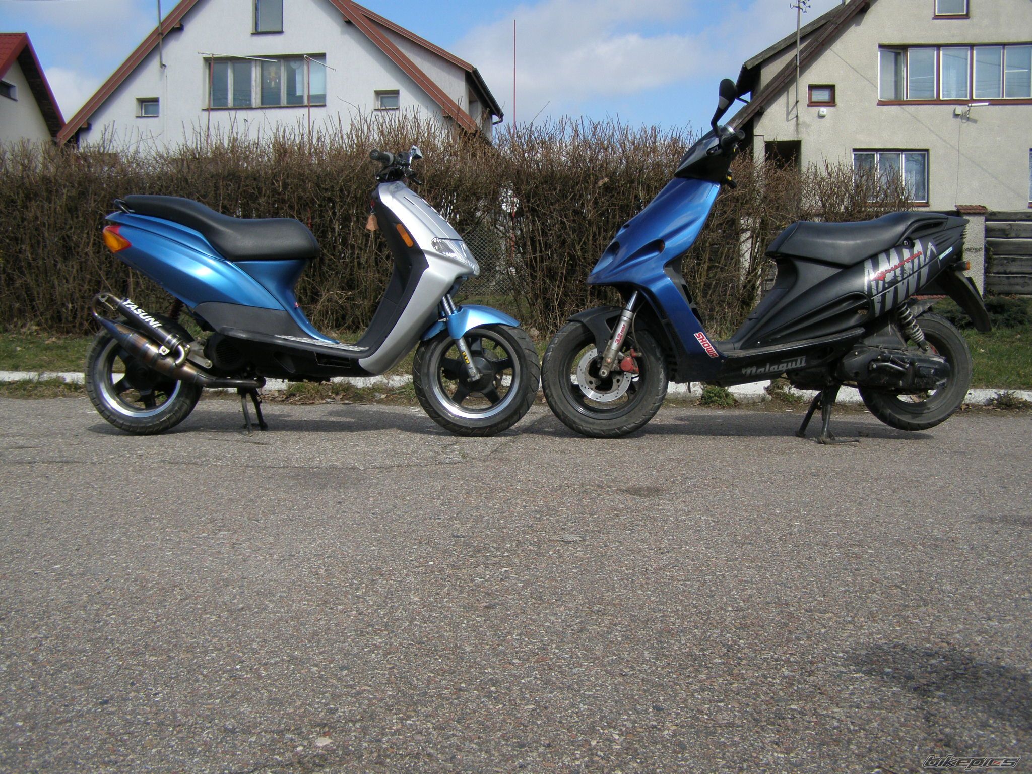 Photo 1235645