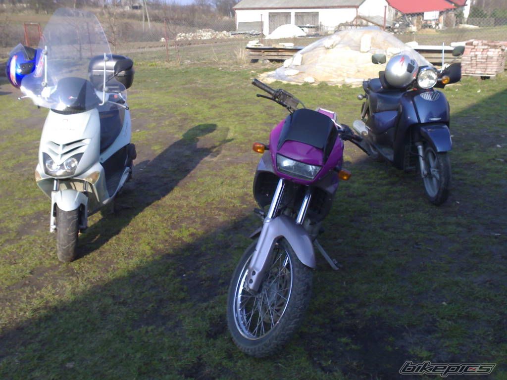 Photo 1235673