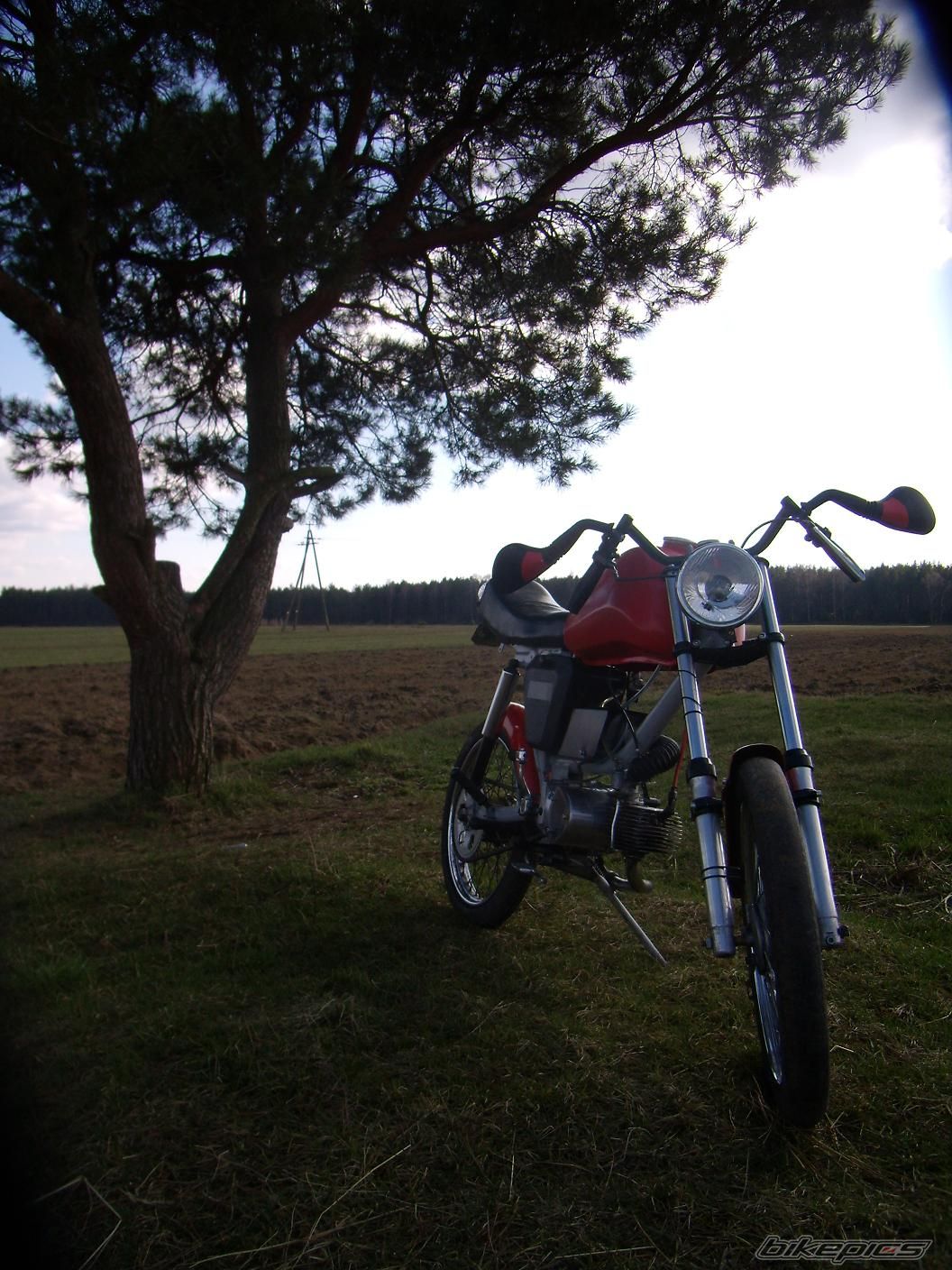 Photo 1235792