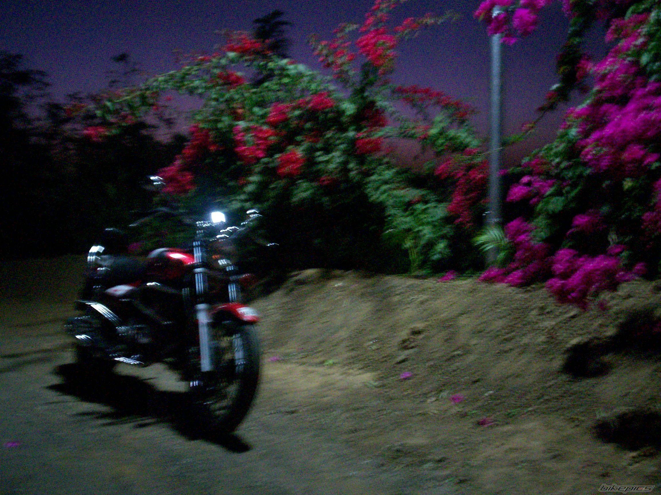 Photo 1235821