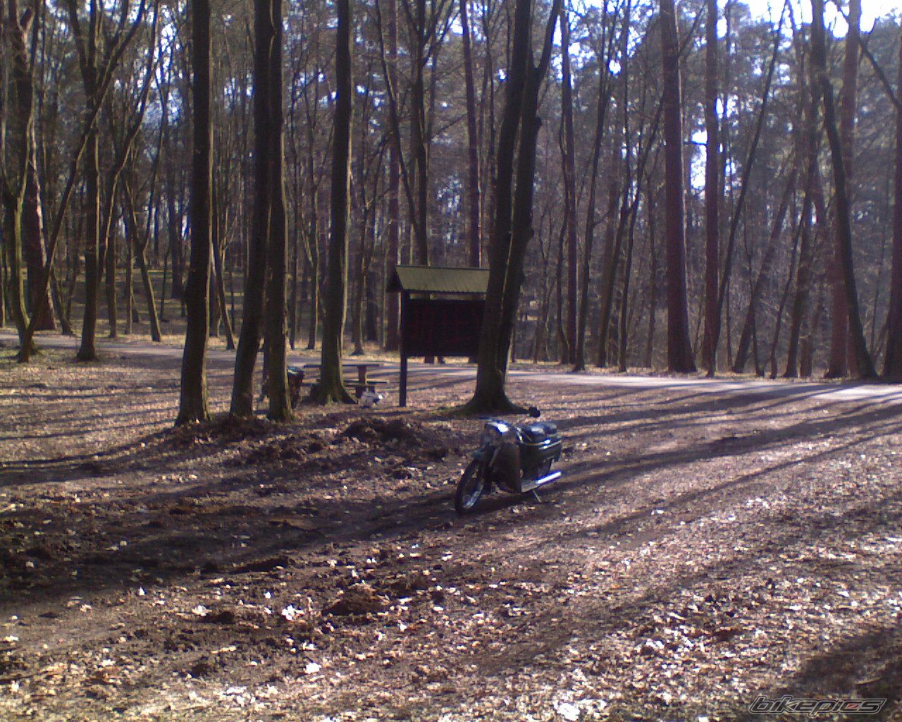 Bike Photo 1235823