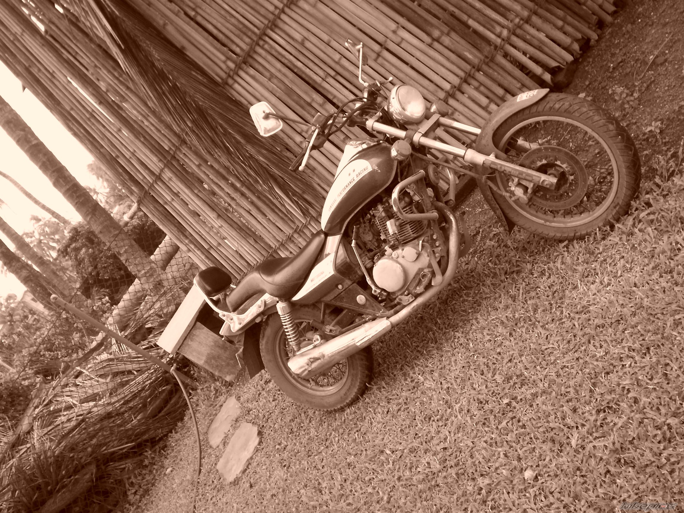 Photo 1235840