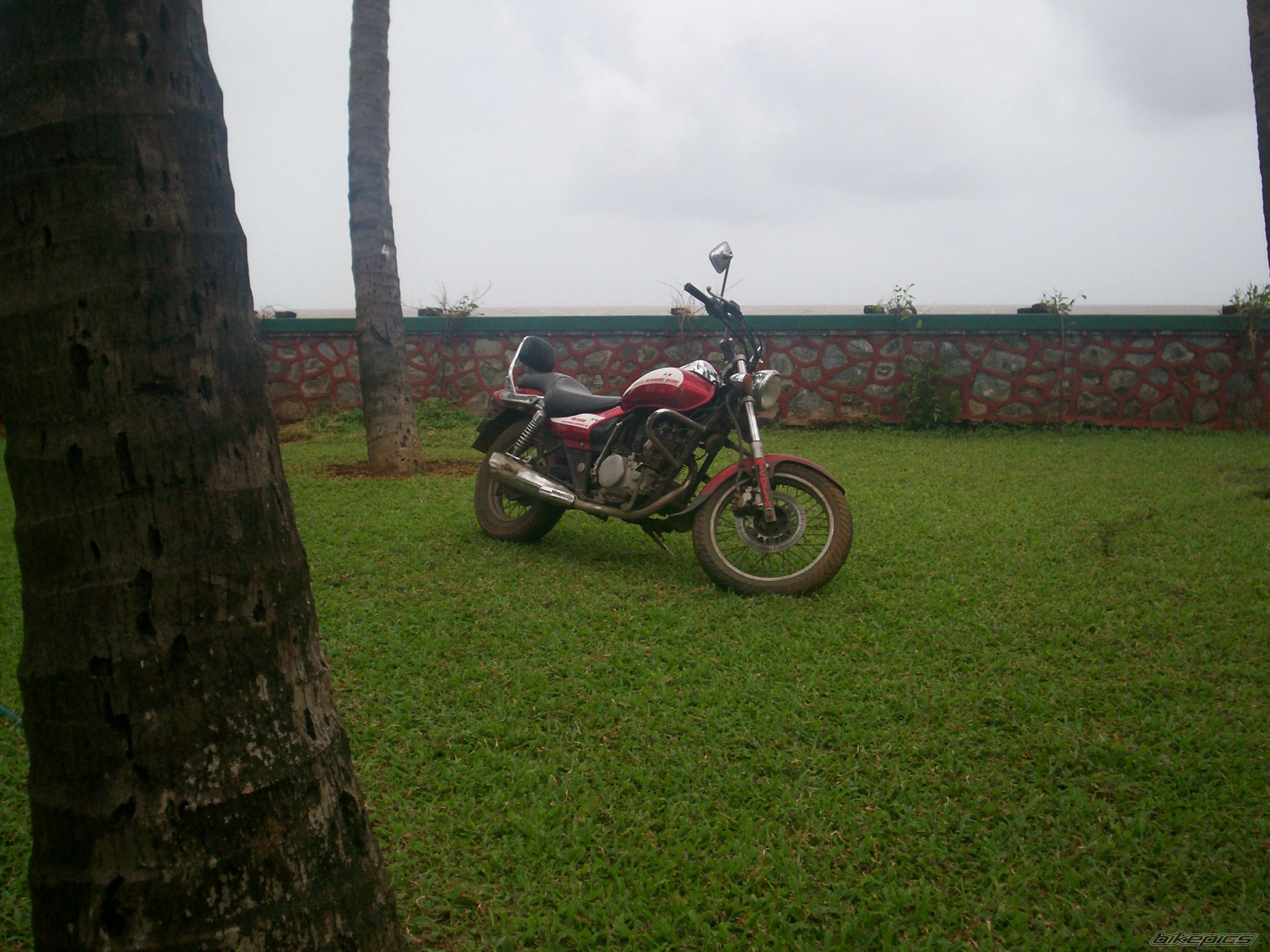 Photo 1235843