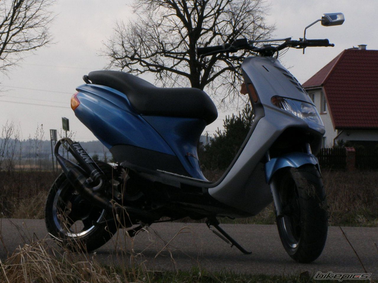 Photo 1235849