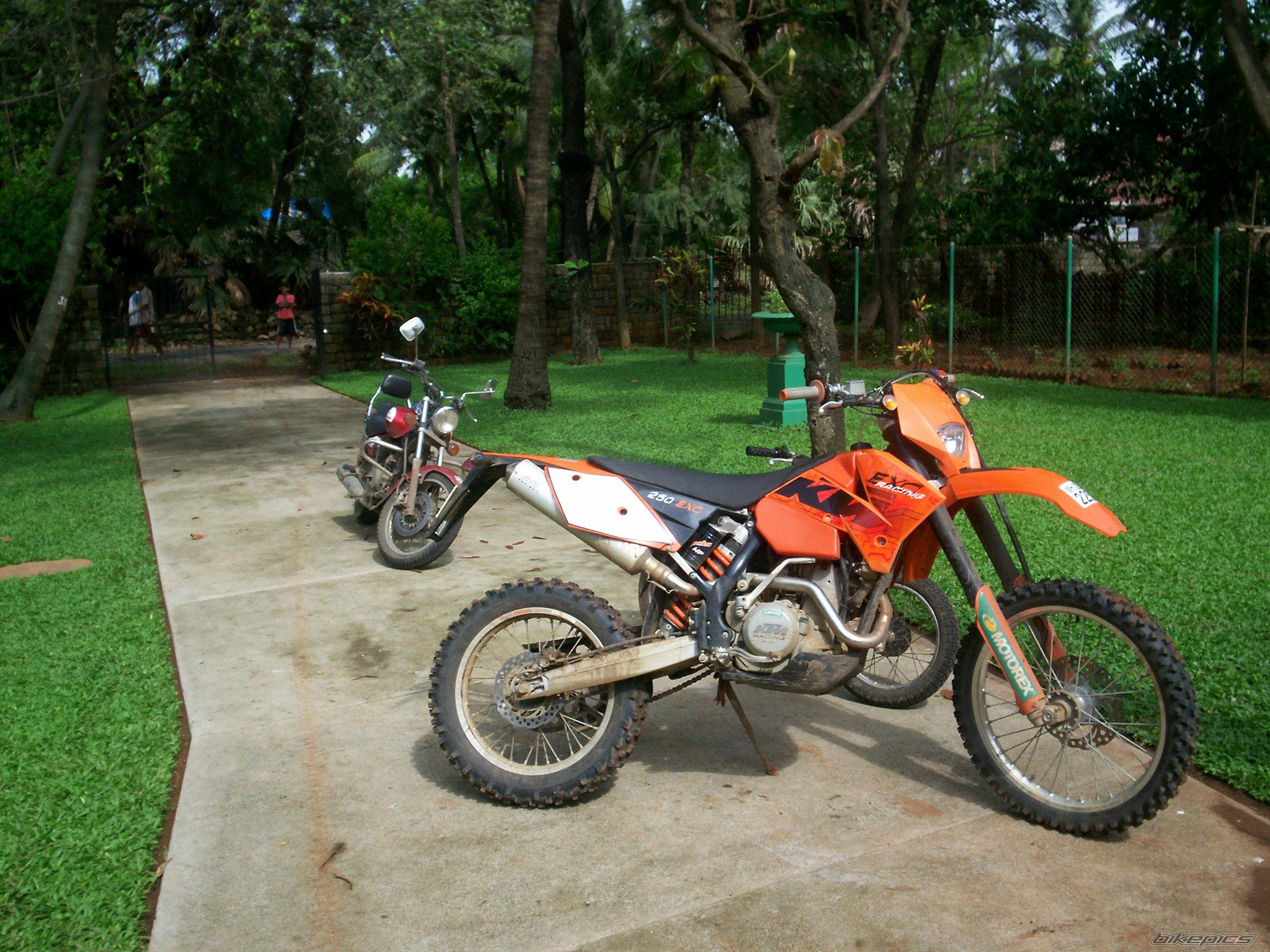 Photo 1235850